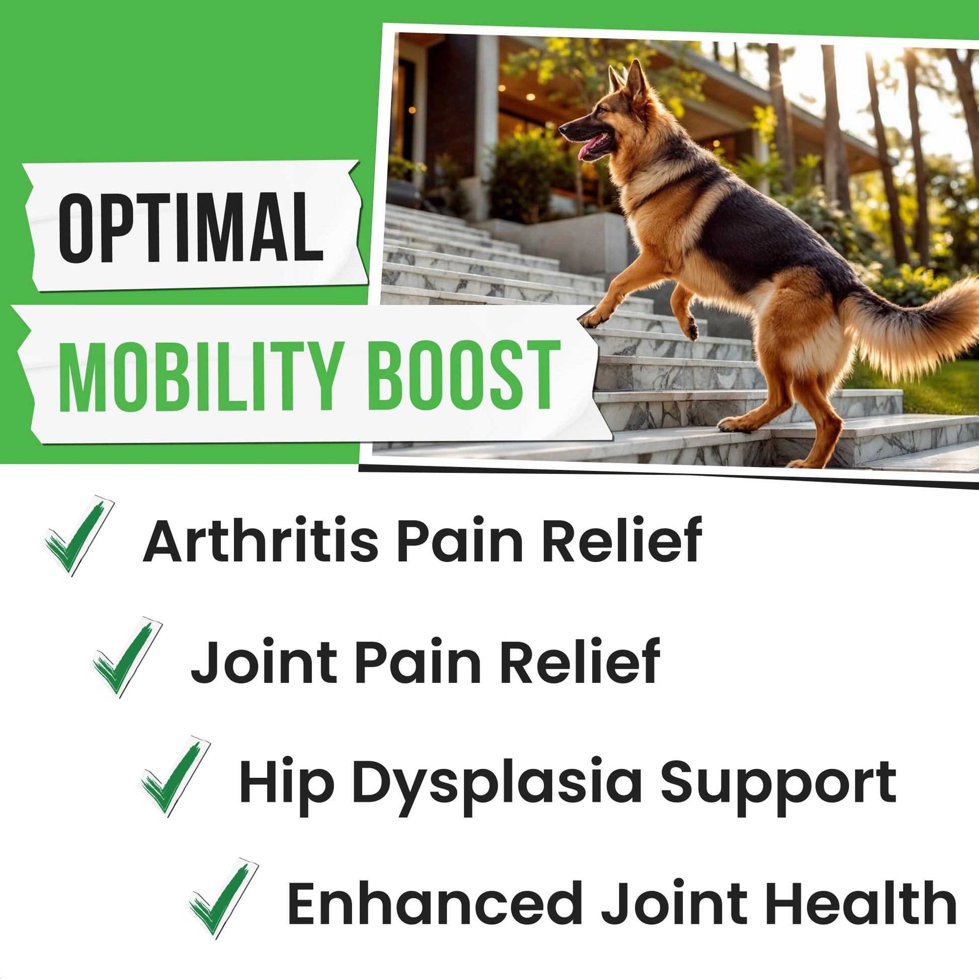 Pawsential Hemp Treats - Dog Joint Supplement - Mobility Support Chews w/Glucosamine Chondroitin, Turmeric, MSM - Hip & Joint Chews - Joint Pain Relief Treats - 120Ct Pawsential buy supplements canada