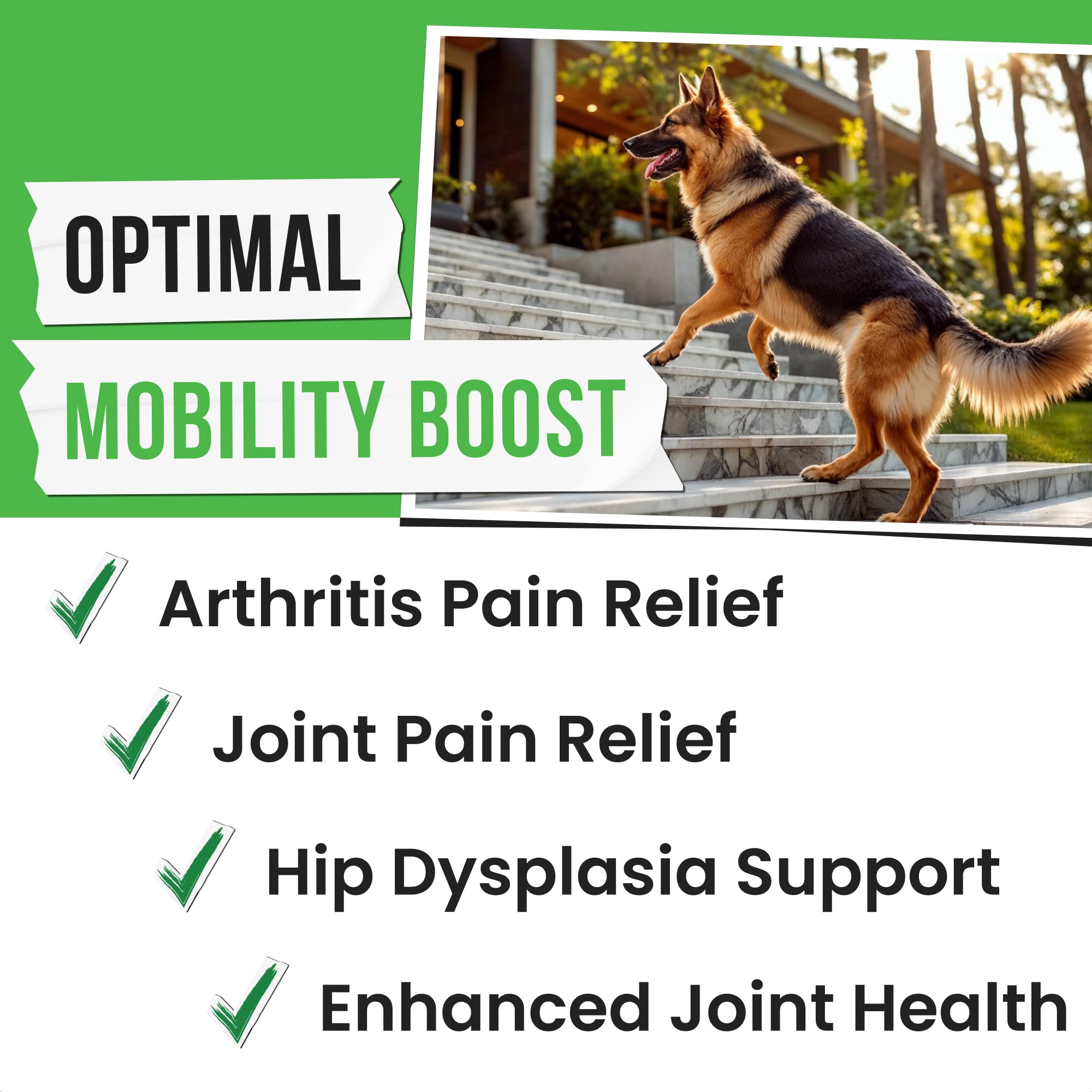 Pawsential Hemp Treats - Dog Joint Supplement - Mobility Support Chews w/Glucosamine Chondroitin, Turmeric, MSM - Hip & Joint Chews - Joint Pain Relief Treats - 120Ct Pawsential buy supplements canada