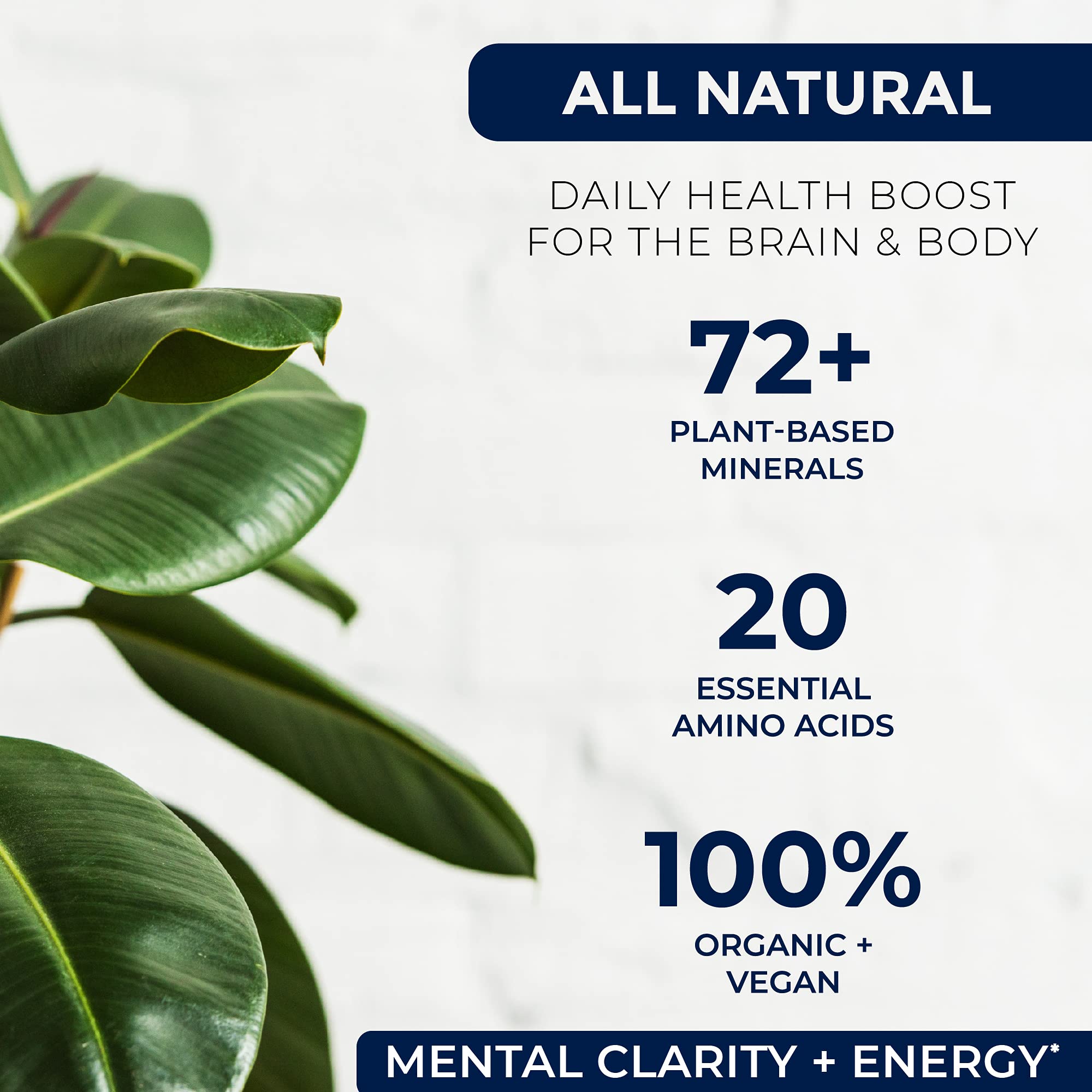 Miracles of Health Liquid Chelated Minerals - Organic Humic Fulvic Mineral Blend - 72+ Plant-Based Minerals, 20 Essential Amino Acids - 100% Natural - 1 Month Supply, 32 fl. oz Miracles of Health buy supplements canada