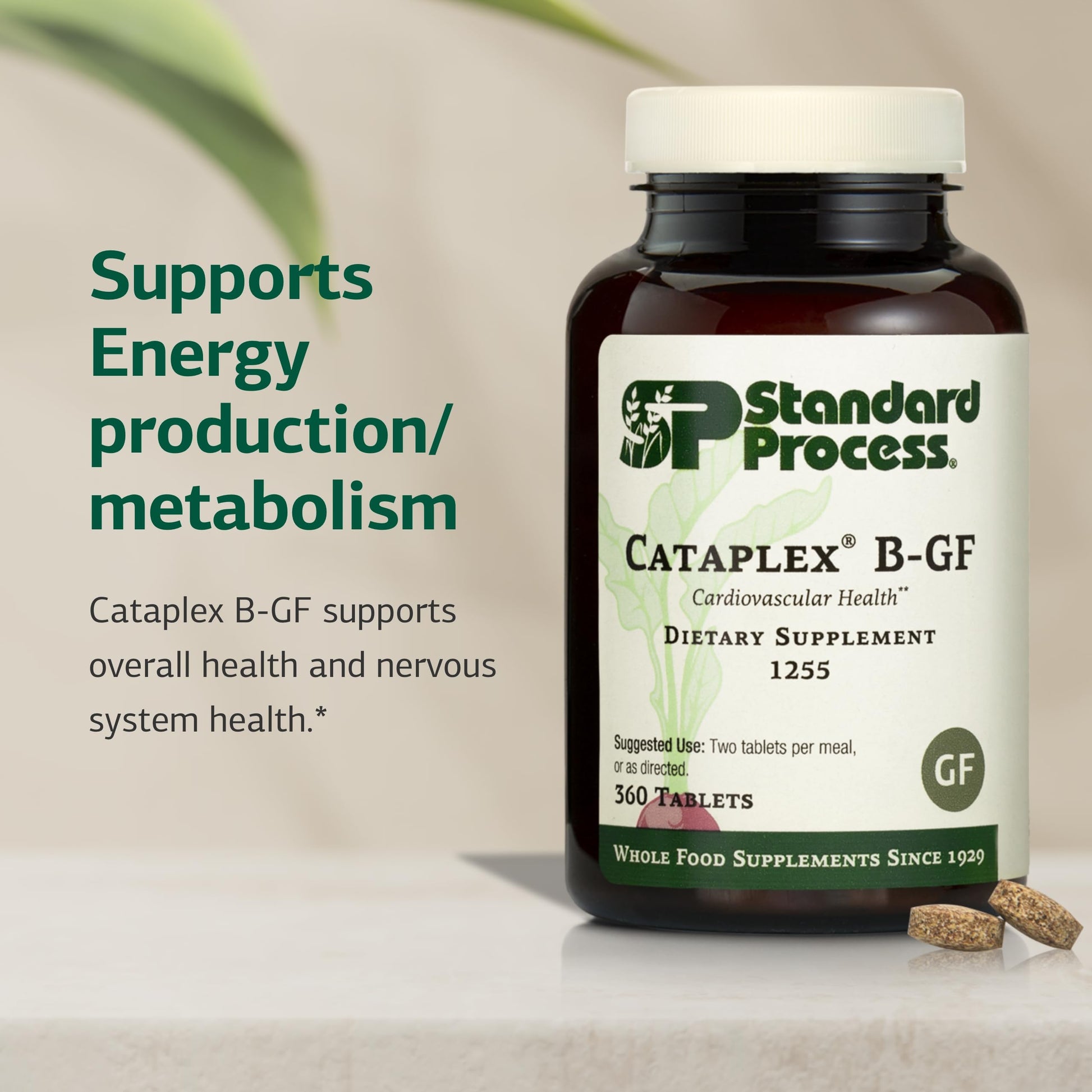 Standard Process Cataplex B-GF - Supports Nervous System Health - B Vitamins for Energy & Heart Support - Aids Energy During Physical Activity - Gluten-Free, Non-Soy & Non-Dairy - 360 Tablets Standard Process Inc. buy supplements canada