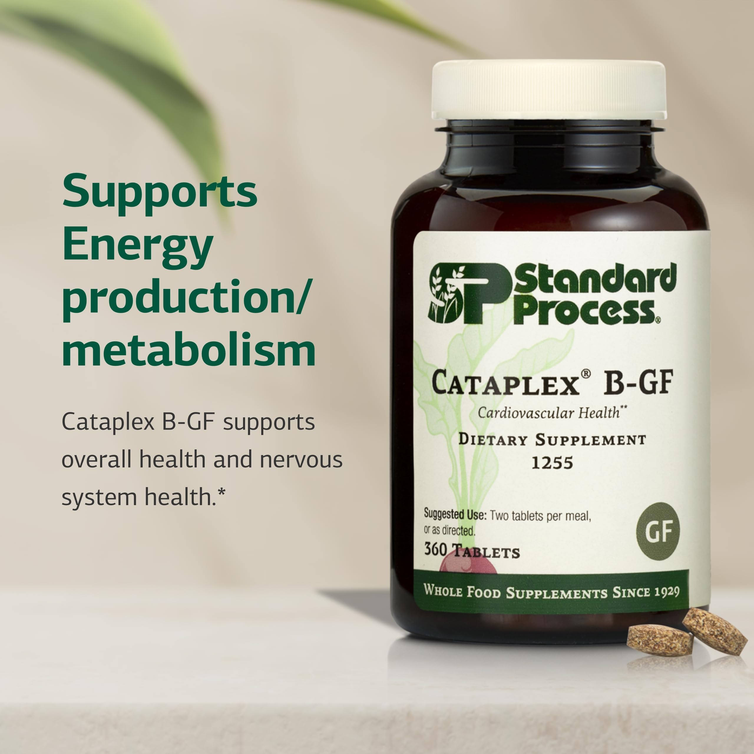 Standard Process Cataplex B-GF - Supports Nervous System Health - B Vitamins for Energy & Heart Support - Aids Energy During Physical Activity - Gluten-Free, Non-Soy & Non-Dairy - 360 Tablets Standard Process Inc. buy supplements canada