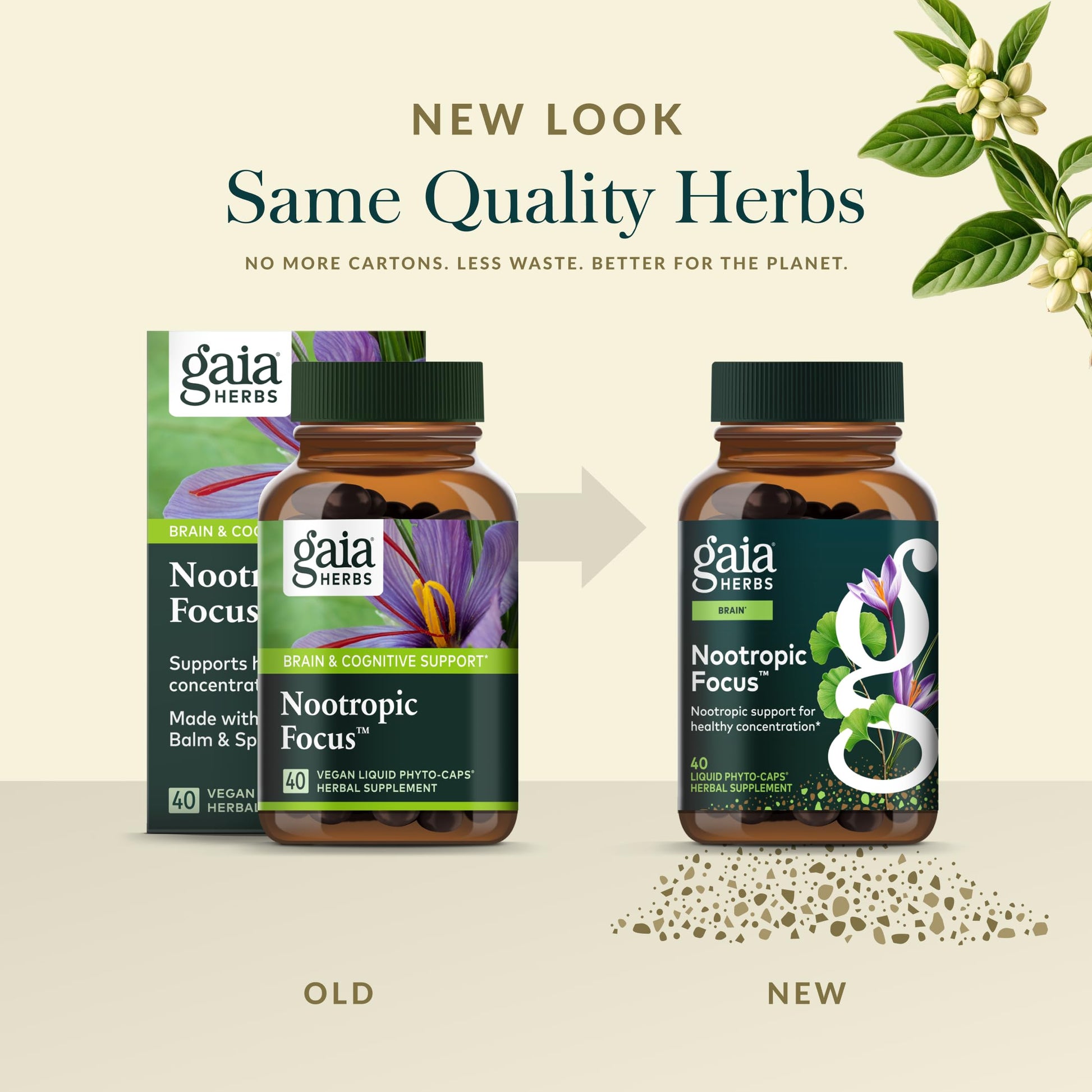Gaia Herbs Nootropic Focus - Brain & Cognitive Support Supplement to Help Maintain Healthy Concentration* - with Saffron, Lemon Balm & Spearmint - 40 Liquid Phyto-Capsules (20 Servings) Gaia Herbs buy supplements canada
