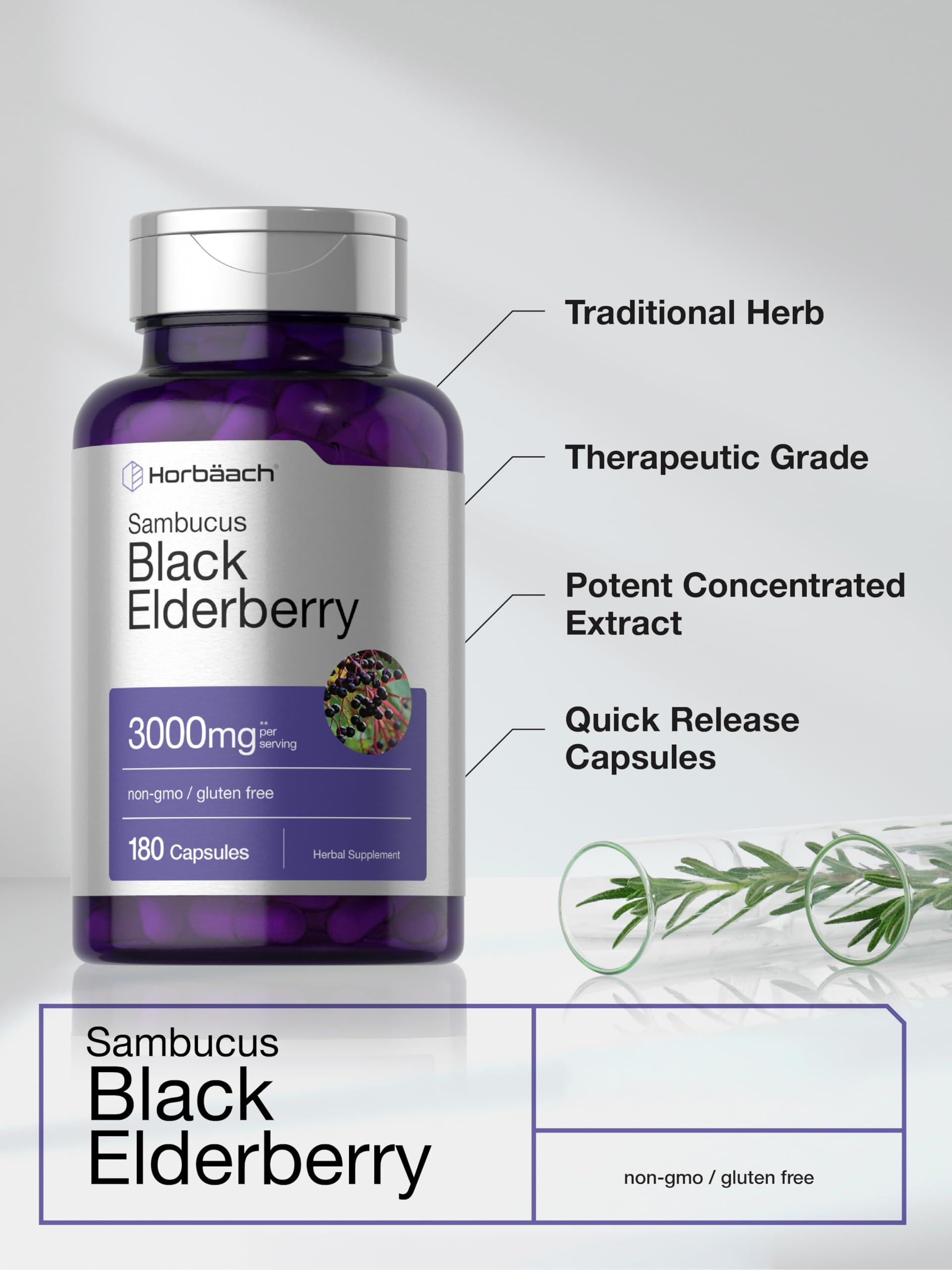Horbäach Black Elderberry | 180 Count | Non-GMO, Gluten Free | Sambucus Extract Supplement Horbäach buy supplements canada