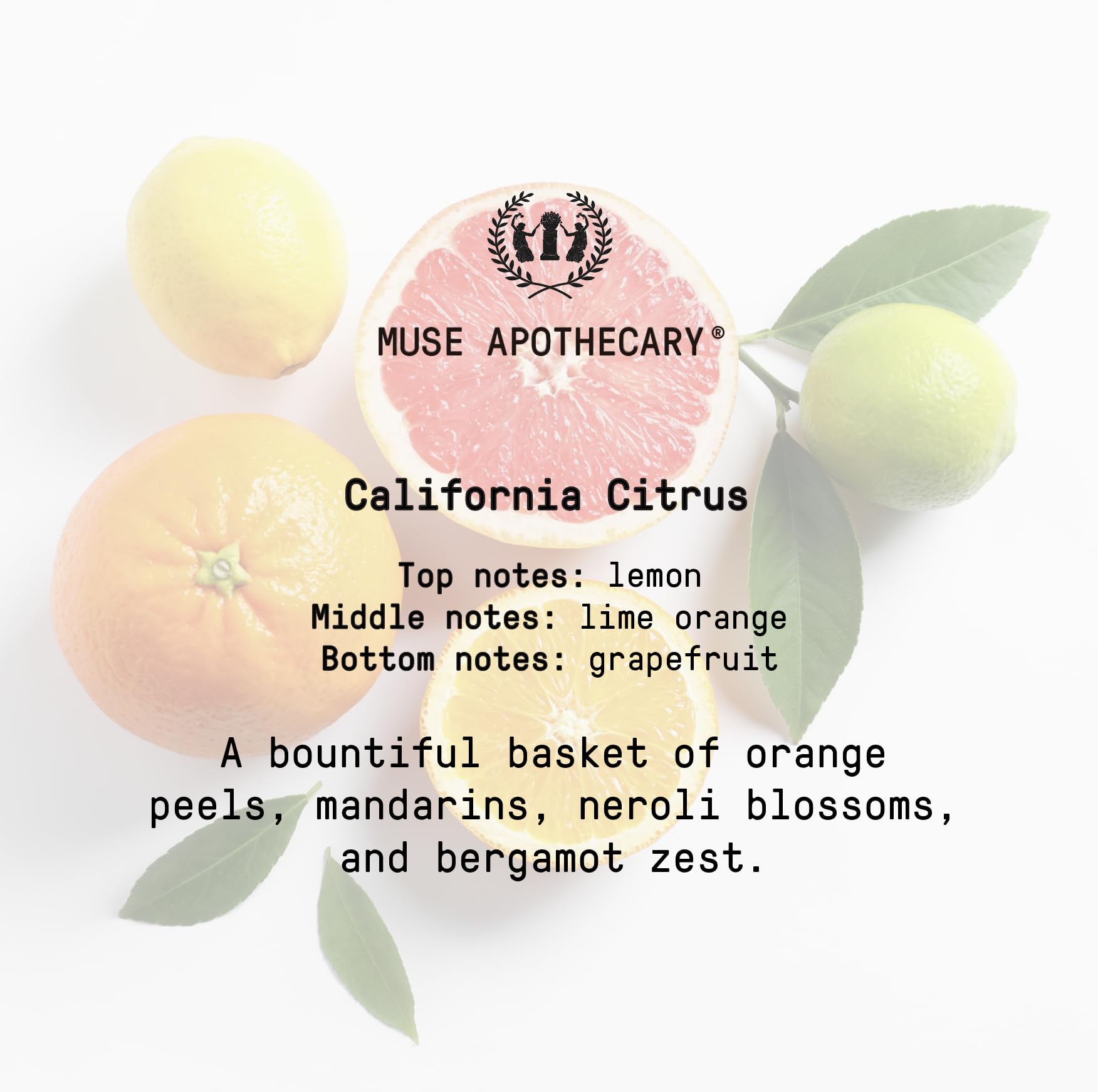 Muse Bath Apothecary Room Ritual - Aromatic and Relaxing Room Mist, 8 oz, Infused Muse Apothecary buy supplements canada