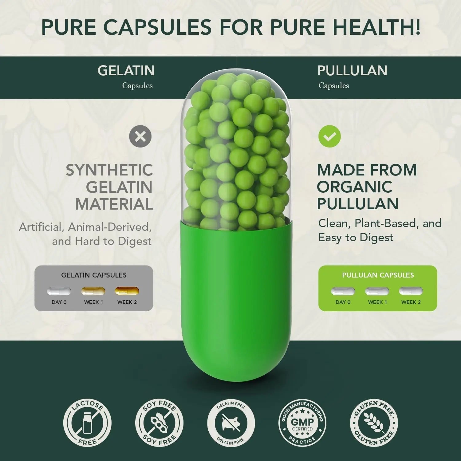 Elements of Life Multivitamin for Women – Daily Women’s Vitamins with MethyFolate, Organic Ingredients & Natural Supplements for Energy Elements of LIfe buy supplements canada