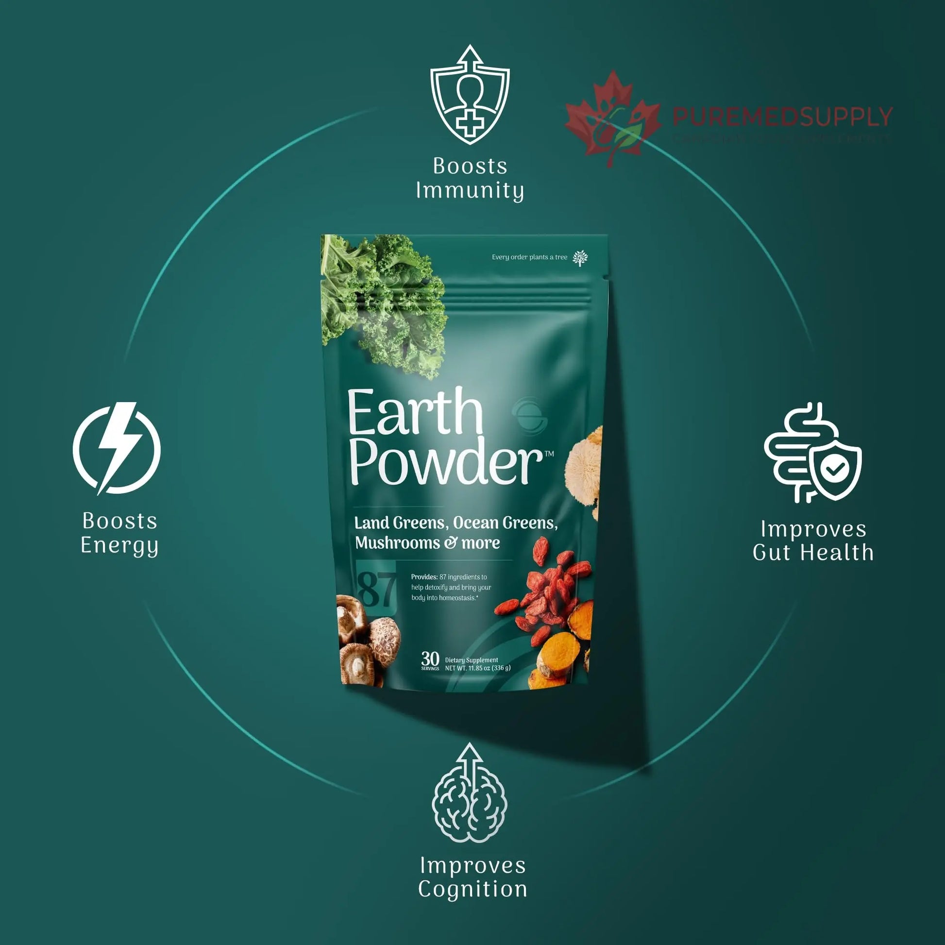 Earth Powder Daily Foundational Nutrition Supplement with 28 Greens & 10 Mushrooms | 87 Nutrients for Energy, Gut Health & Mental Clarity Earth Powder buy supplements canada