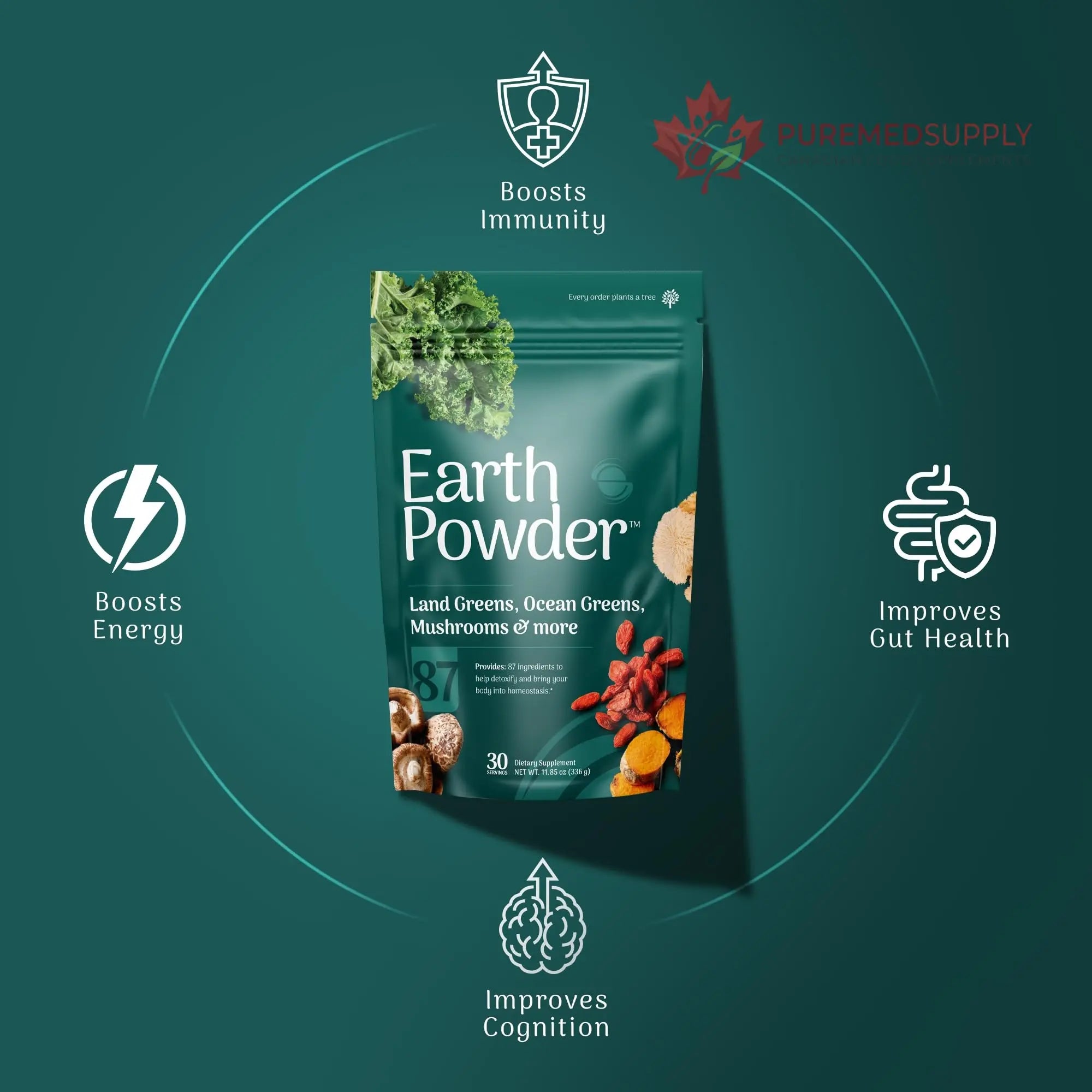 Earth Powder Daily Foundational Nutrition Supplement with 28 Greens & 10 Mushrooms | 87 Nutrients for Energy, Gut Health & Mental Clarity Earth Powder buy supplements canada