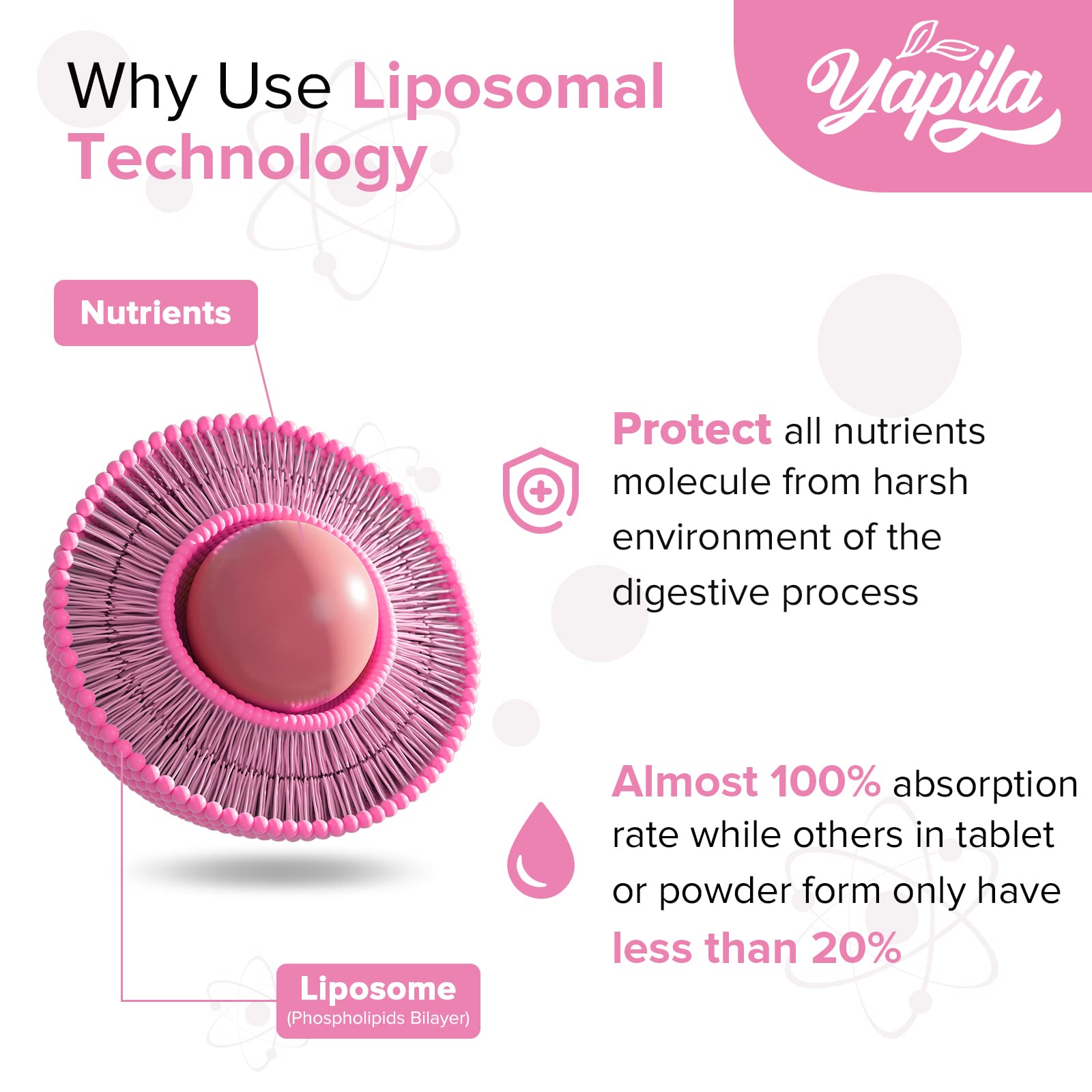 Liposomal Collagen Biotin Capsules, Hydrolyzed Bovine Collagen Peptides 1700 mg, Types 1 & 3 Protein Yapila buy supplements canada