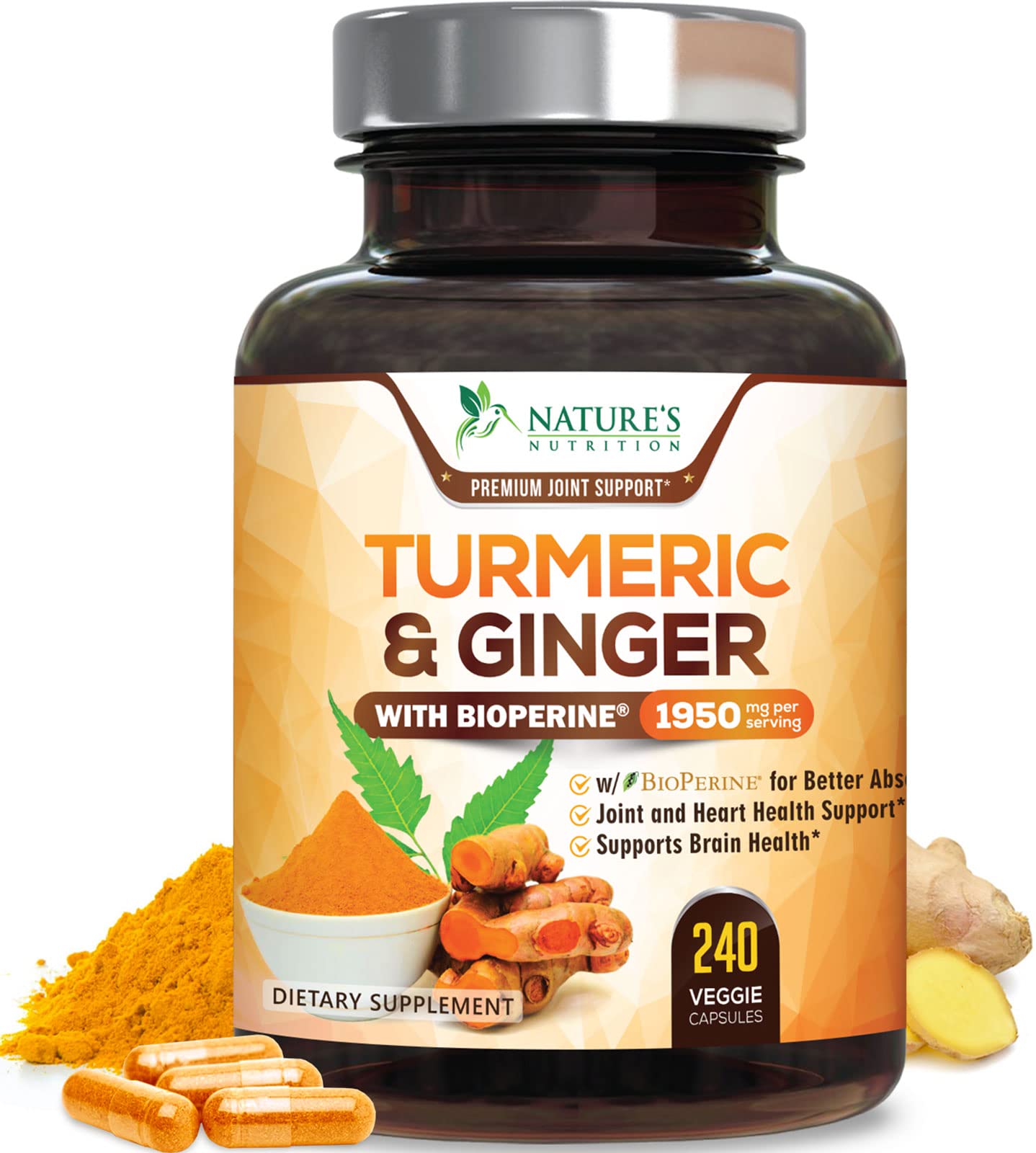 Turmeric Curcumin with BioPerine & Ginger 95% Standardized Curcuminoids 1950mg Nature's Nutrition buy supplements canada