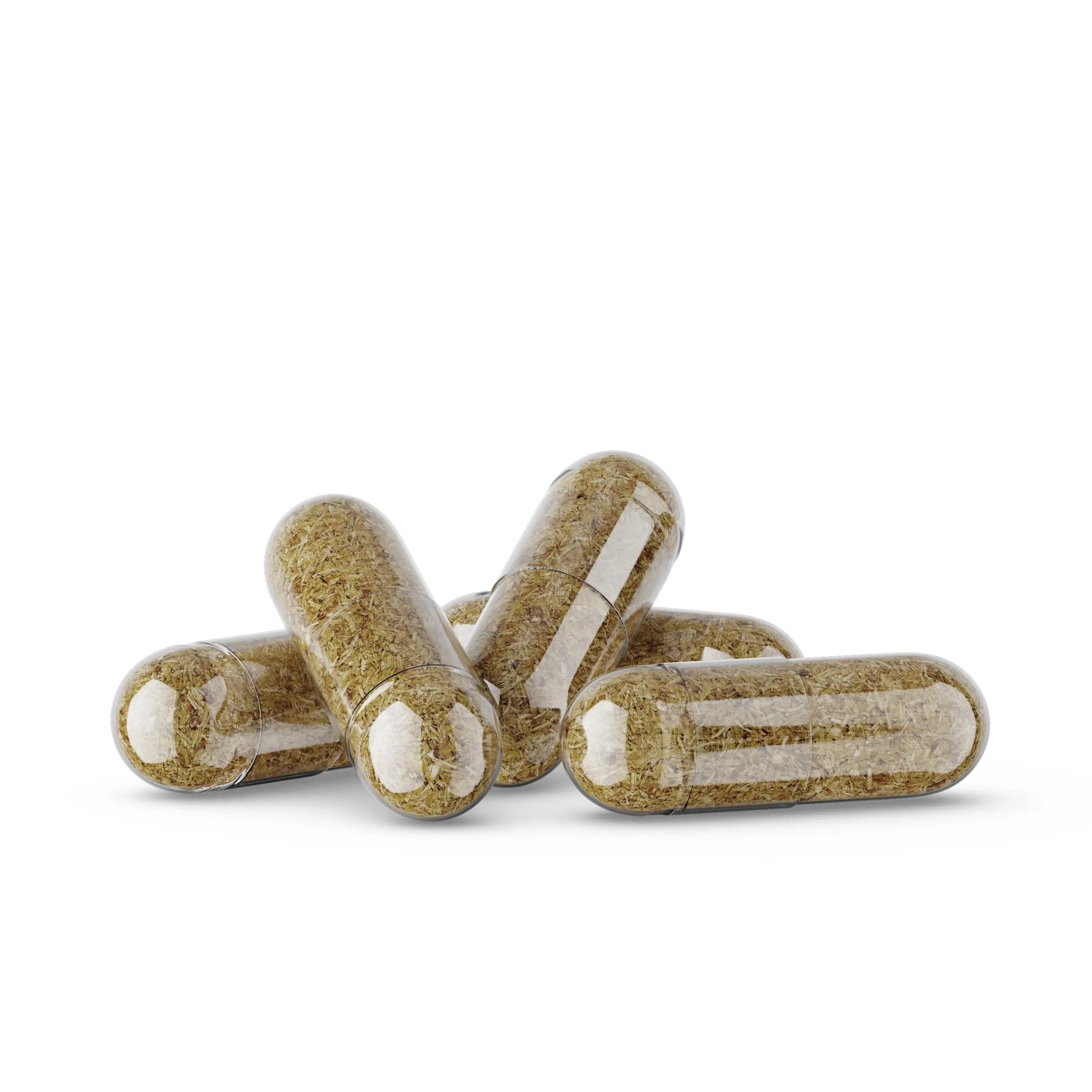 Germa Chanca Piedra Supplement – 500mg Phyllanthus Niruri – Traditional Stone Breaker Herb for Urinary & Kidney Support – Rainforest Botanical – 100% Natural Vegan Capsules, 100 Count Germa buy supplements canada