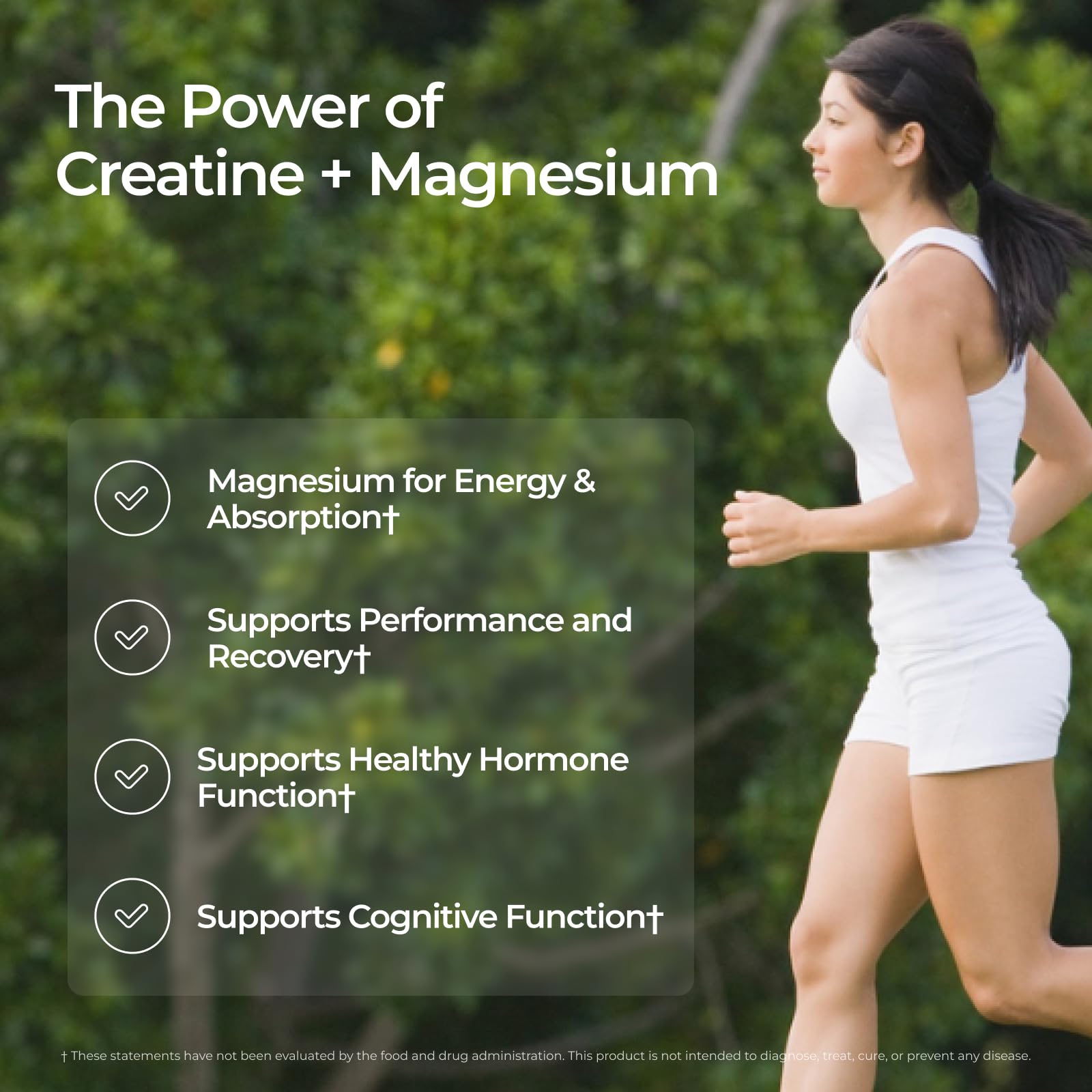 Livingood Daily Creatine + Magnesium Powder, Unflavored | 5g Micronized Creatine Monohydrate with Magnesium for Energy, Muscle Recovery & Performance | 30 Servings Livingood Daily buy supplements canada