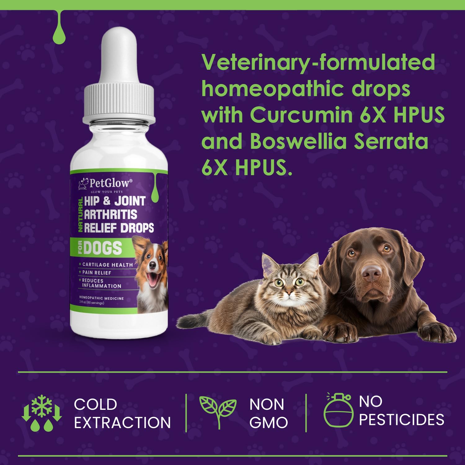 Petglow® Natural Hip & Joint Arthritis Relief Drops with Curcumin & Boswellia, Homeopathic Anti-Inflammatory Formula for Dogs, Cats & Horses, Supports Flexibility, Comfort & Mobility Naturally Petglow buy supplements canada
