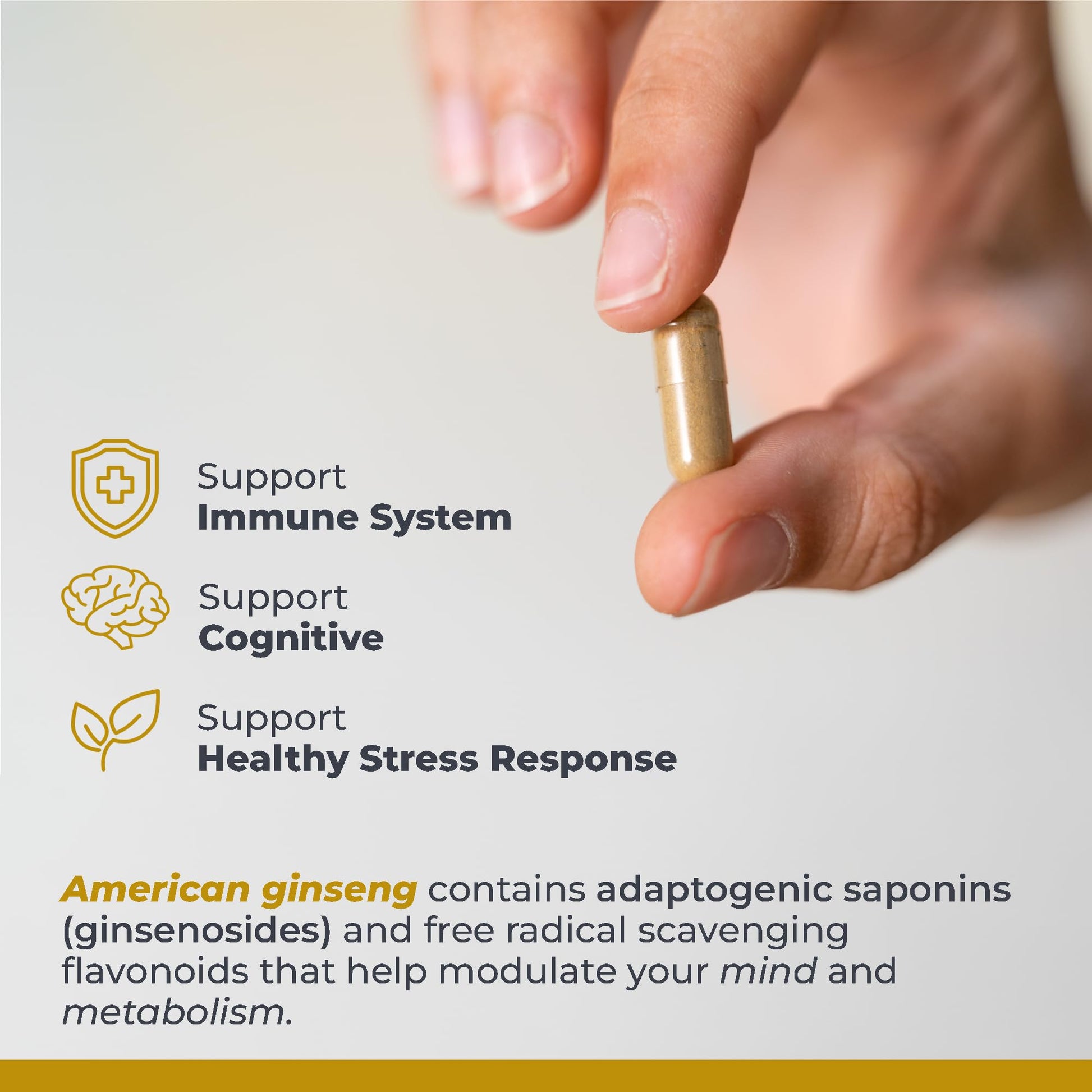 Premier Research Labs American Ginseng Supplement - American Ginseng Capsules, Herbal Ginseng Root Pills, North American Ginseng Herb Extract, Calming Energy Supplement - 60 Plant-Based Capsules Premier Research Labs buy supplements canada