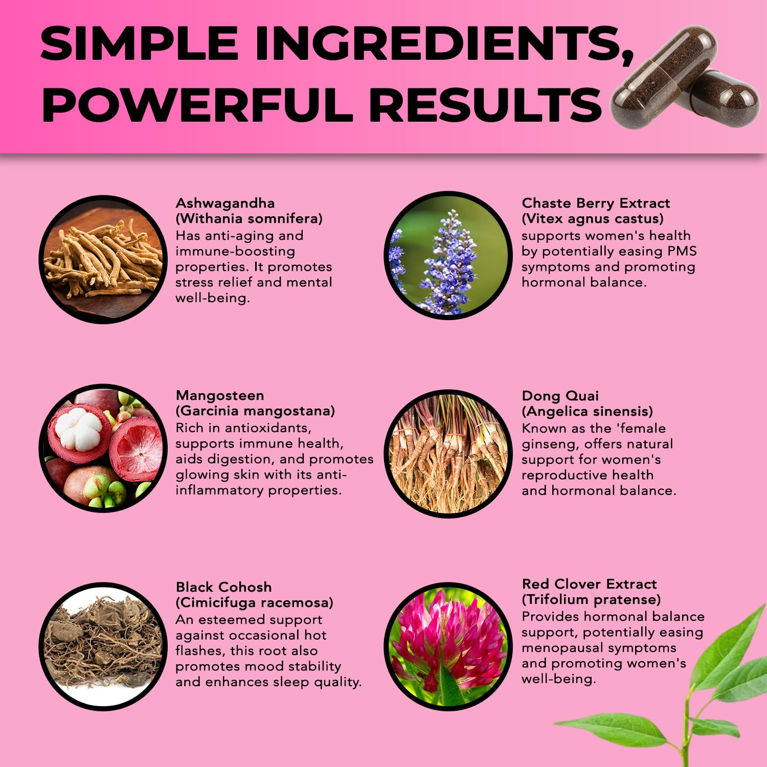Perimenopause & Menopause Support Supplement for Women – Multi‑Symptom Relief with Black Cohosh & Red Clover Isoflavones | Ashwagandha Adaptogen & Herbal Blend | Hormone Balance Support | 120 Capsules SelecWell buy supplements canada
