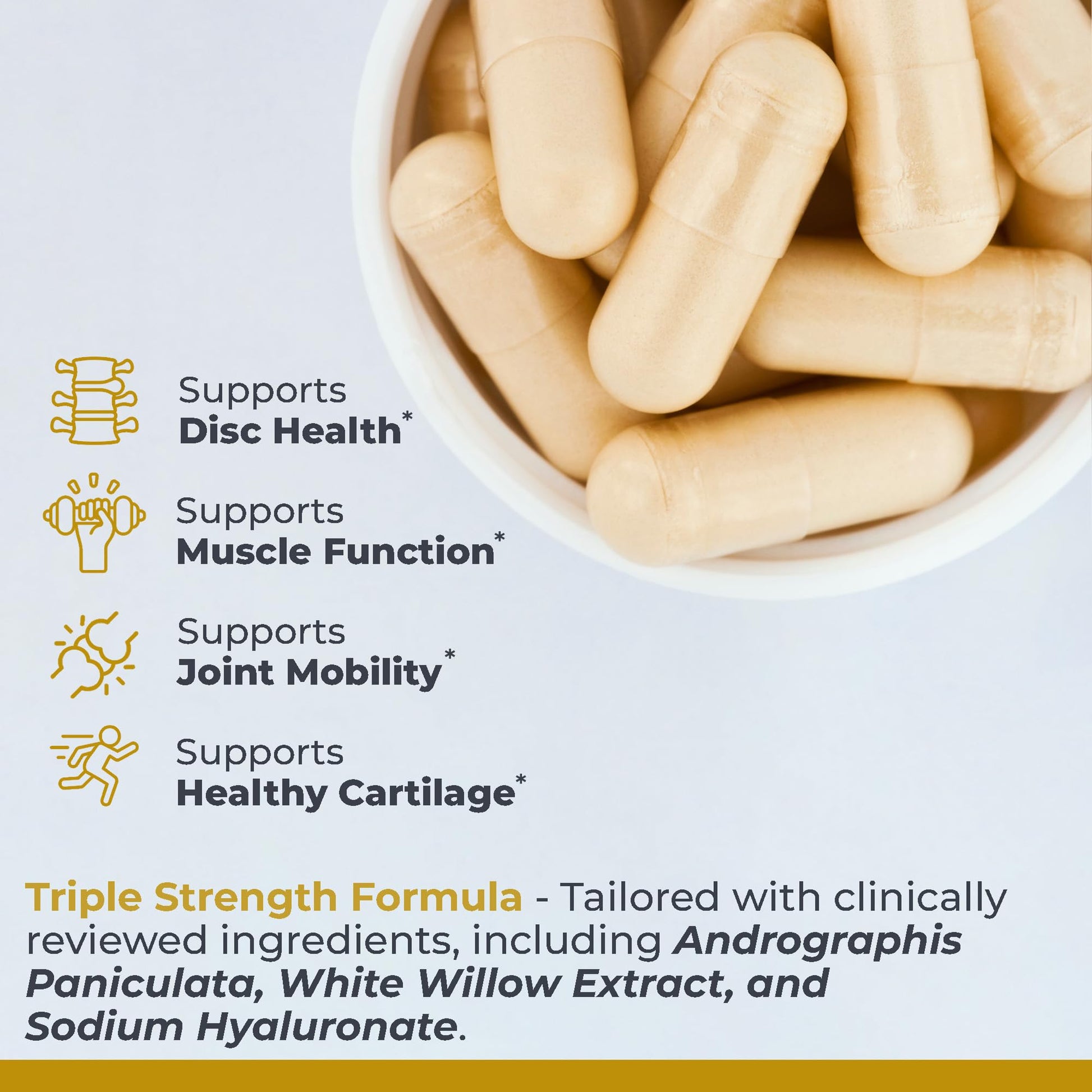 Premier Research Labs Joint & Disc Support Supplement - for Men & Women, Glucosamine, Joint Mobility and Muscle Health, Cartilage Repair, Gluten Free, Plant-Sourced - 90 Capsules Premier Research Labs buy supplements canada