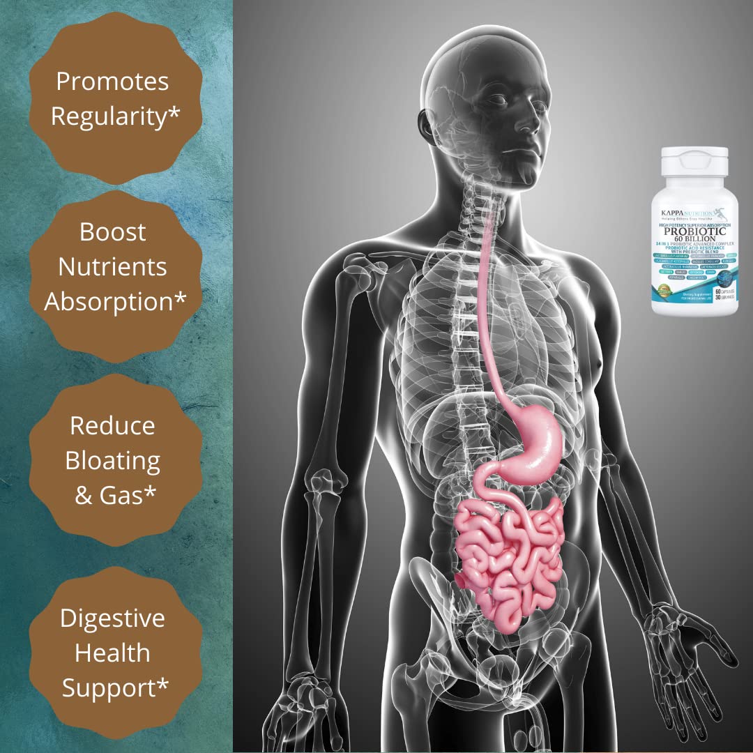 KAPPA NUTRITION Probiotic 60 Billion CFU 14 in 1 Formula with Prebiotics & Acidophilus for Women, Men & Adults, Shelf Stable, Acid Resistant, Natural Supplement 60 Capsules. KAPPA NUTRITION buy supplements canada