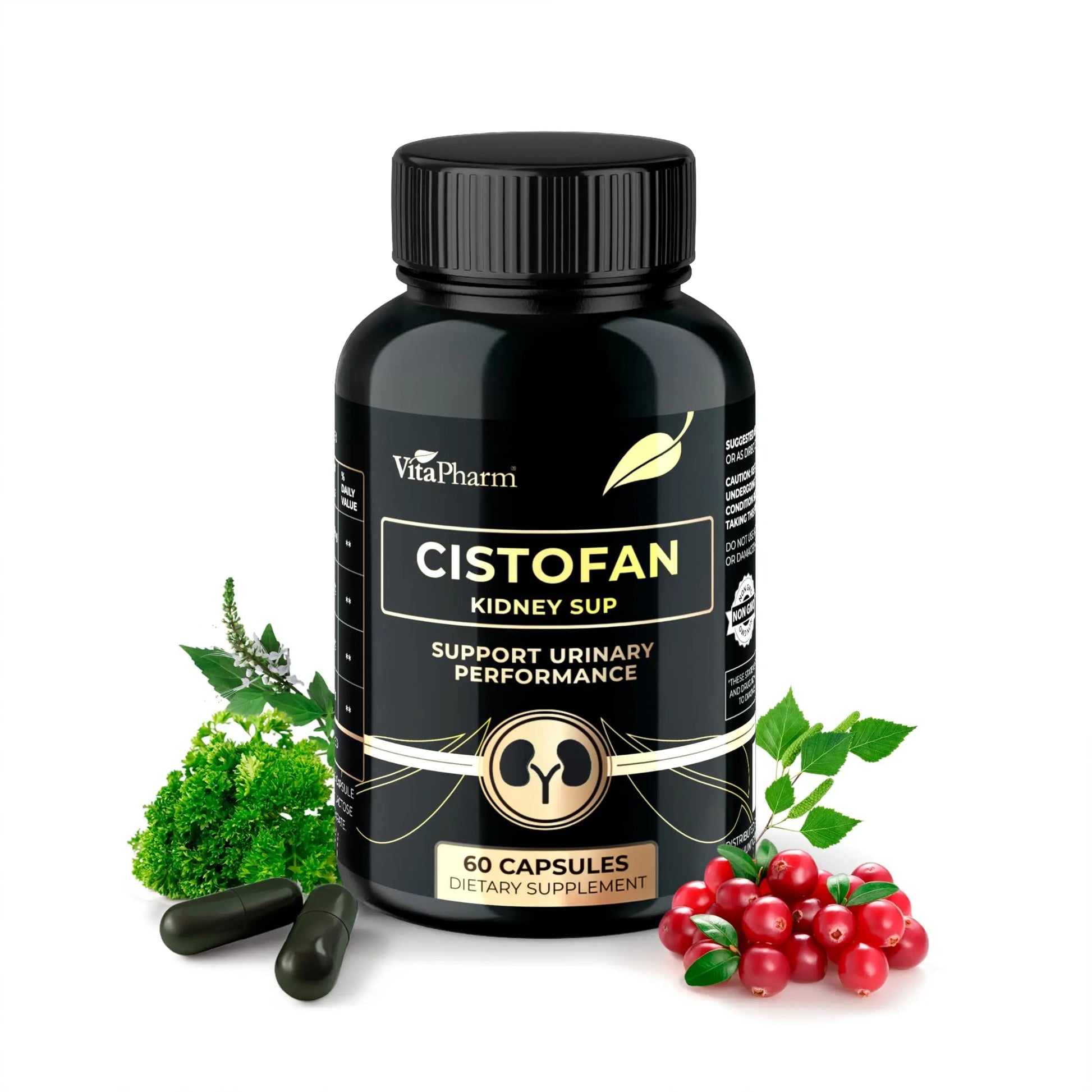 CISTOFAN Kidney Support Supplement – Herbal Formula with Java Tea, Birch Leaf, Parsley & Cranberry – Supports Urinary Tract & Kidney Function – Natural Diuresis – 60 Capsules – Non-GMO – Made in EU VitaPharm buy supplements canada