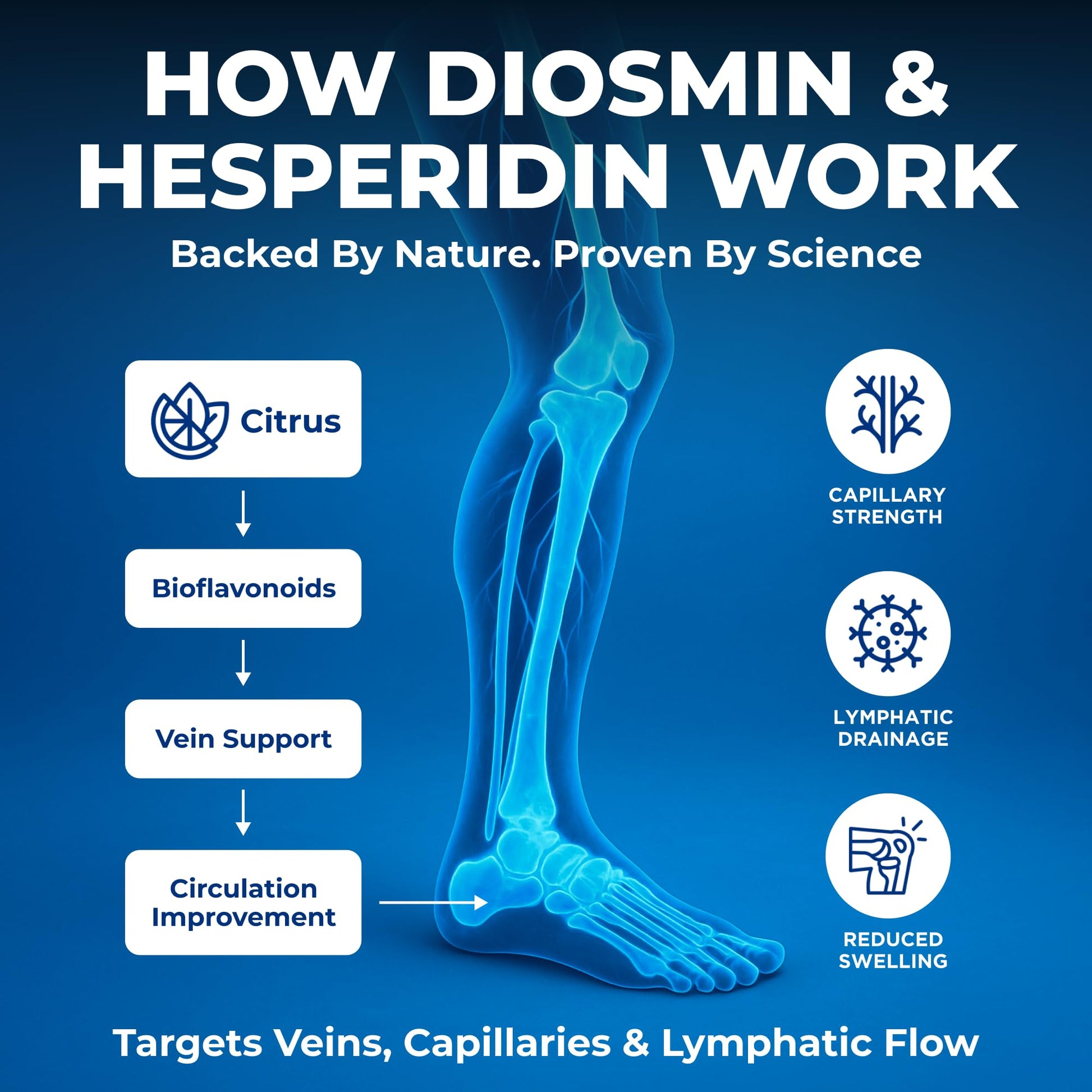We Like Vitamins Diosmin Hesperidin 1000mg – 180 Capsules – 90 Day Supply - Diosmin and Hesperidin Supplement – Helps to Support Healthy Circulation, We Like Vitamins buy supplements canada