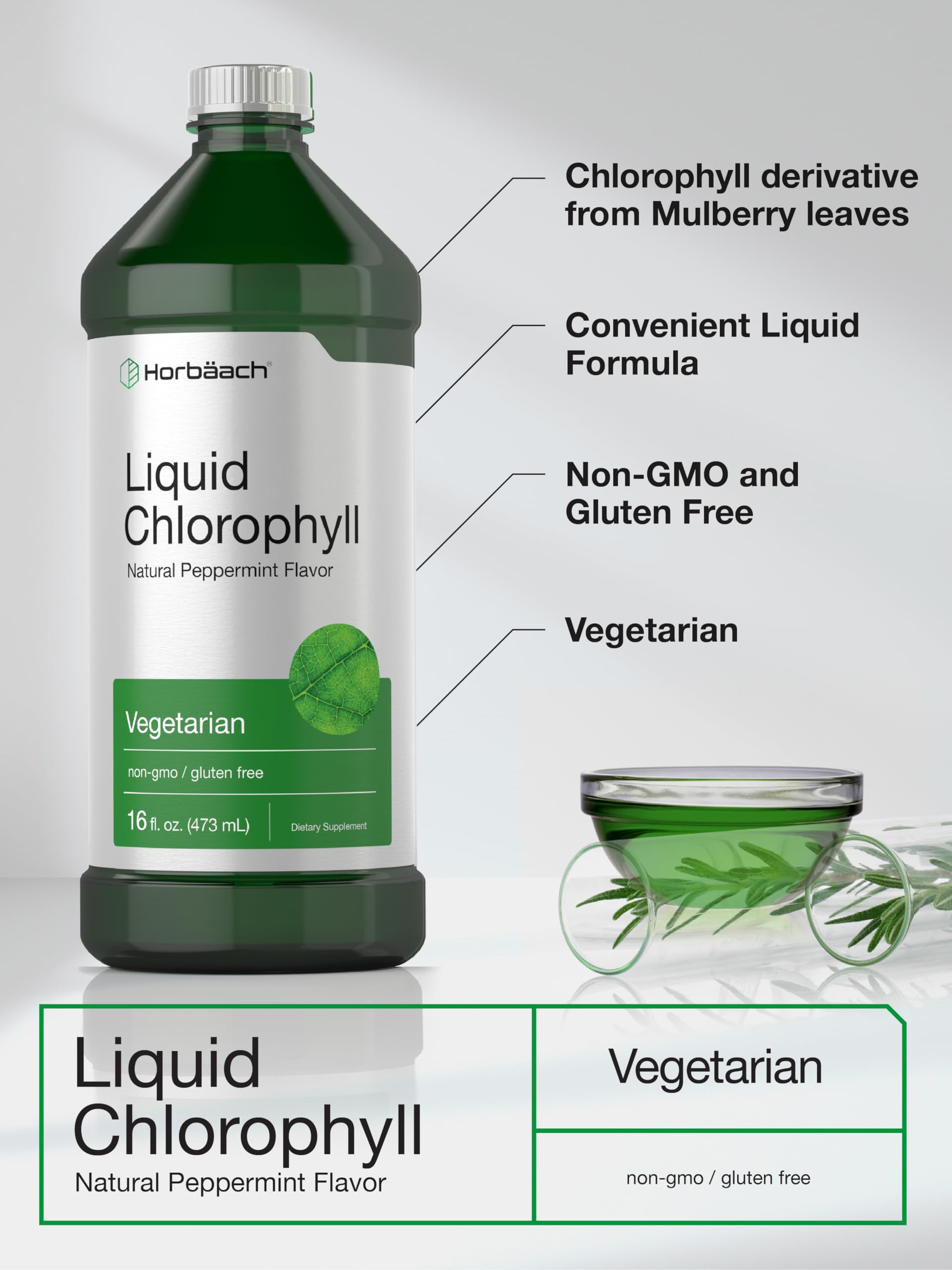 Chlorophyll Liquid Drops 100mg | 32 oz (2 x 16 oz Bottles) | Natural Peppermint Flavor Horbäach buy supplements canada