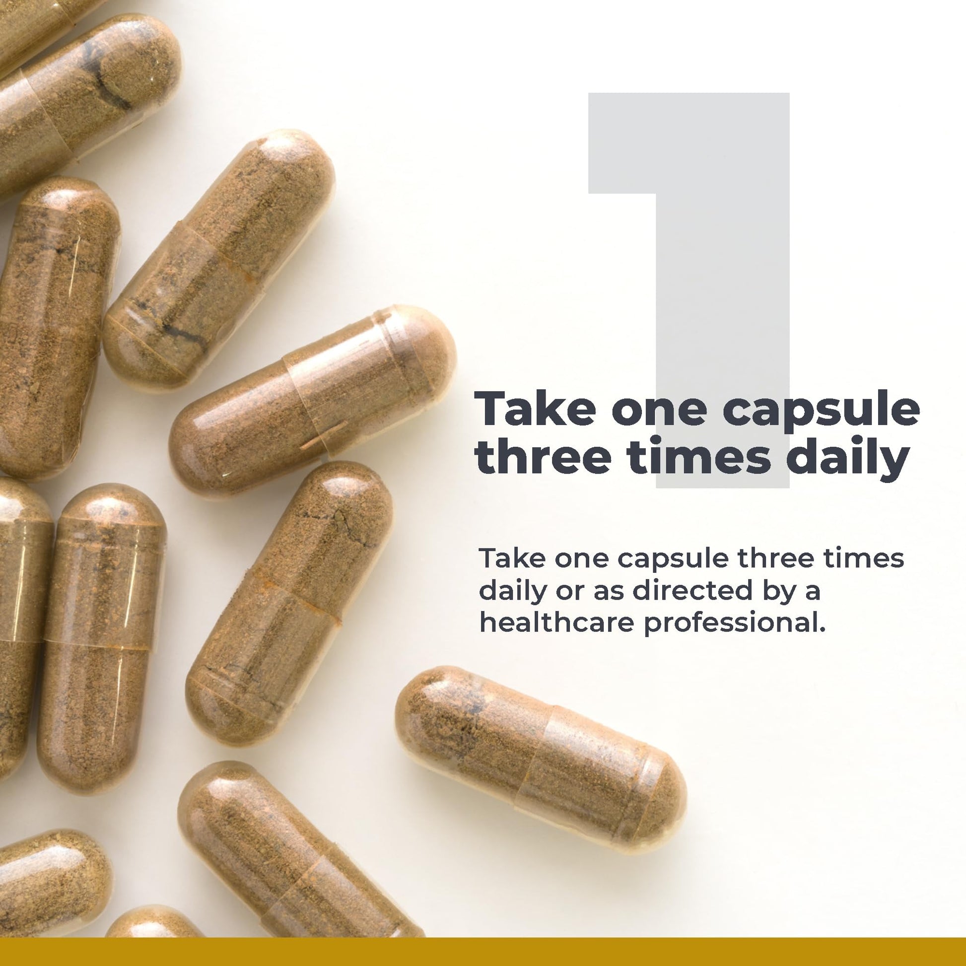 Premier Research Labs RenaVen - Premier Kidney Support for Kidney Cleanse Detox and Repair | Improve Kidney Function and Urinary Support with Fermented Cordyceps - 60 Plant-Source Capsules Premier Research Labs buy supplements canada