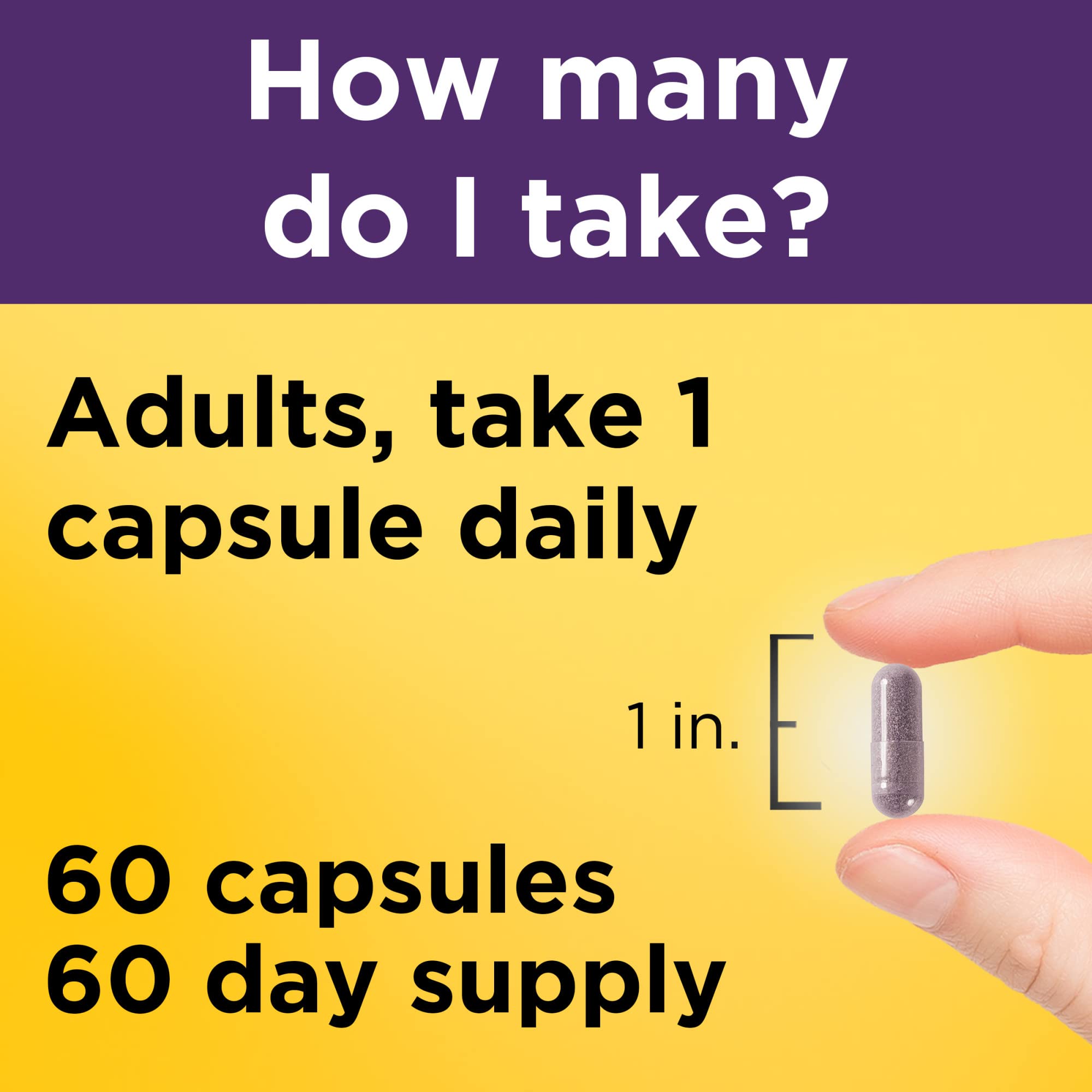 Nature Made Elderberry 400 mg Extract with Vitamin C and Zinc, Dietary Supplement Nature Made buy supplements canada
