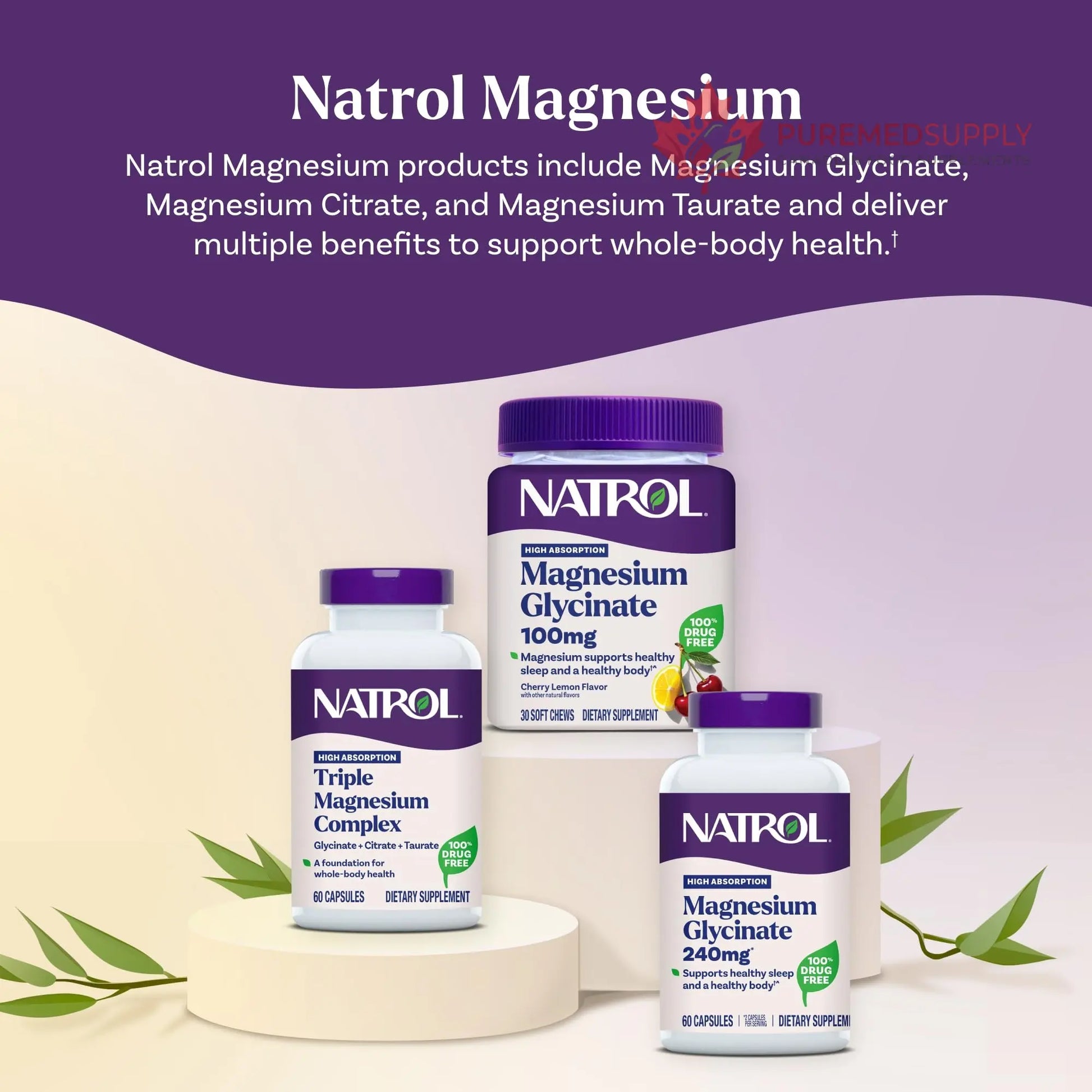 Natrol Triple Magnesium Complex Supplement, Glycinate, Citrate & Taurate 200mg High Absorption, Support Whole Body Wellness, 60 Capsules Natrol buy supplements canada