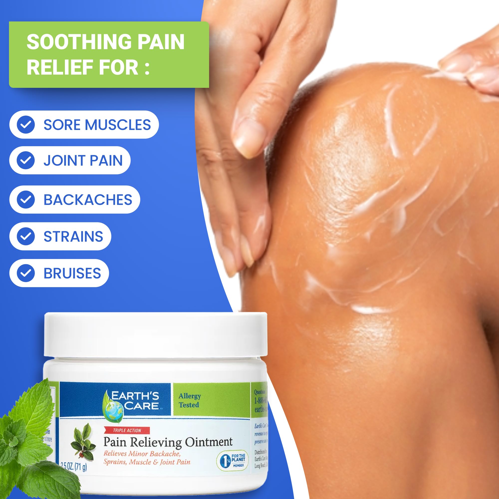 Earth's Care Triple Action Pain Relieving Ointment, No Parabens, Colors or Fragrances, Allergy-Tested 2.5 OZ. (2 Jars) Earth's Care buy supplements canada