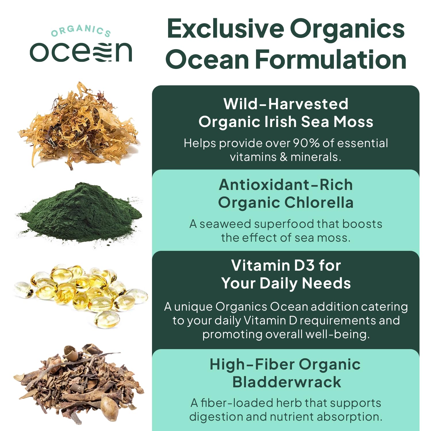 Organics Ocean Wild Sea Moss Capsules - 100% Organic Irish Sea Moss with Organic Chlorella, Bladderwrack and Vitamin D for Energy, Lung Health and Thyroid Support for Women and Men - 60 Capsules Organics Ocean buy supplements canada