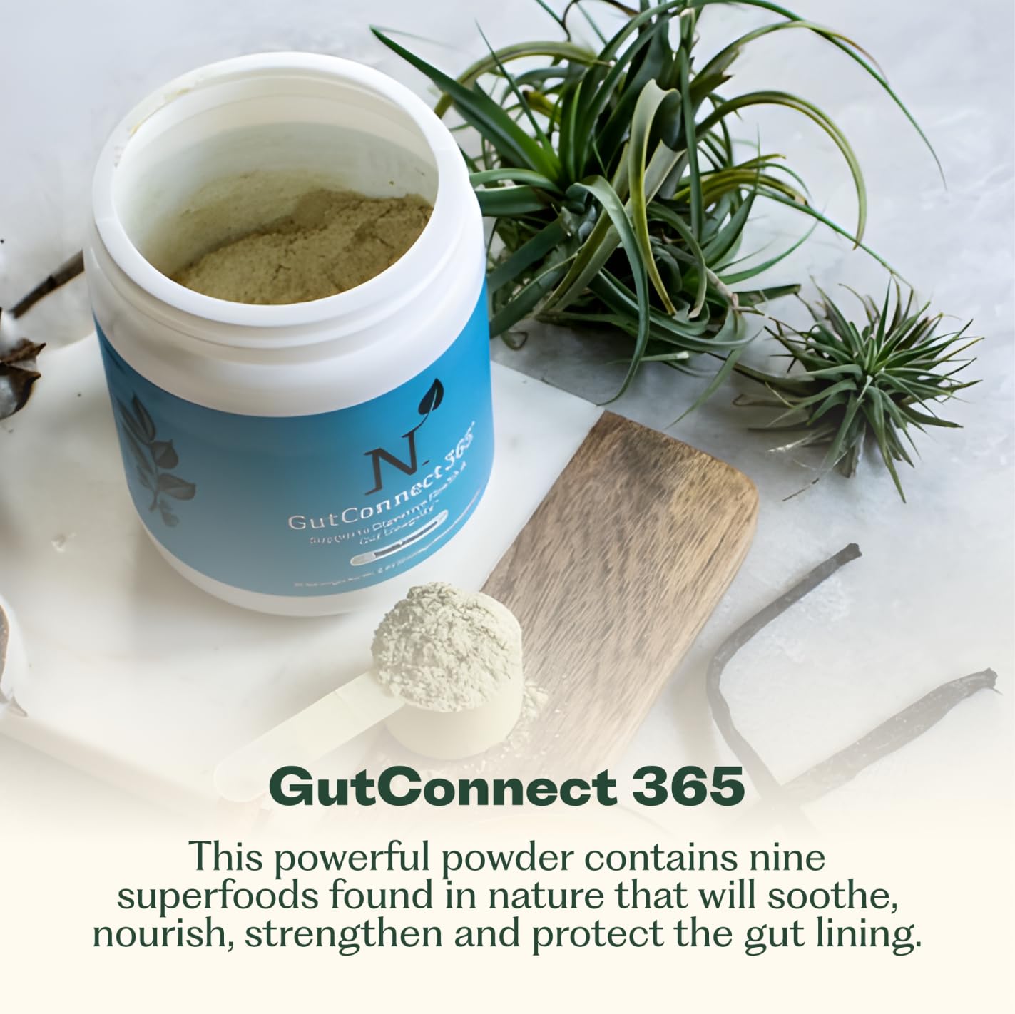 GutConnect 365 Gut Health Superfood Powder | Formulated With Slippery Elm Bark & L Glutamine | Vegan Certified | Allergen Free | Non-GMO | Soy Free | Made in the USA | 30 Servings – Vanilla Cinnamon Nature M.D. buy supplements canada