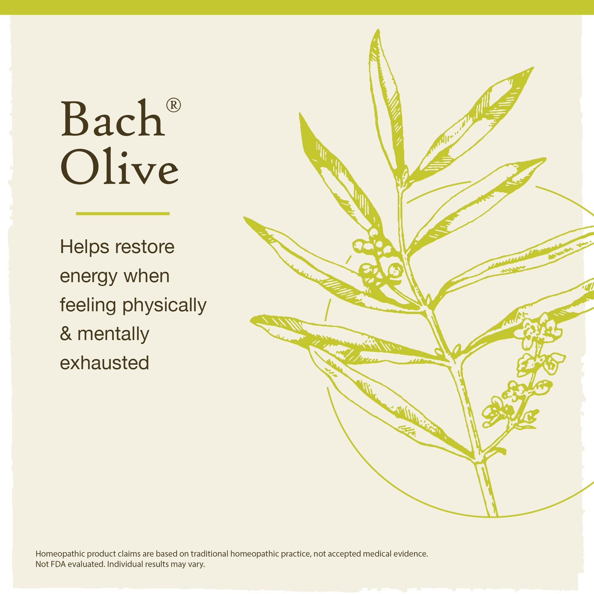 Bach Original Flower Remedies, Olive for Energy (Non-Alcohol Formula), Natural Homeopathic Flower Bach buy supplements canada