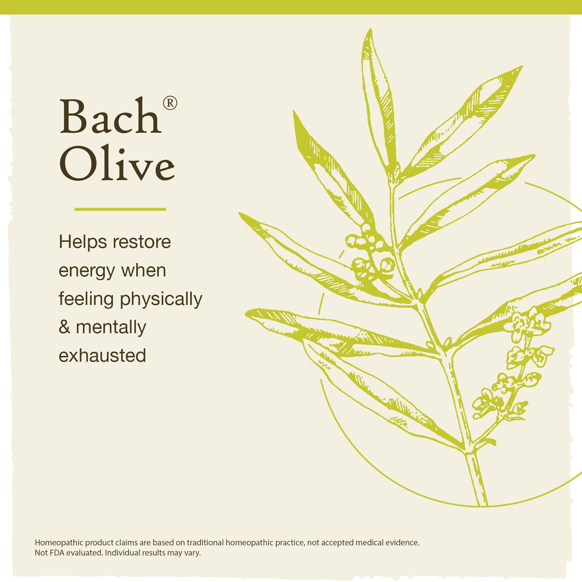 Bach Original Flower Remedies, Olive for Energy (Non-Alcohol Formula), Natural Homeopathic Flower Bach buy supplements canada