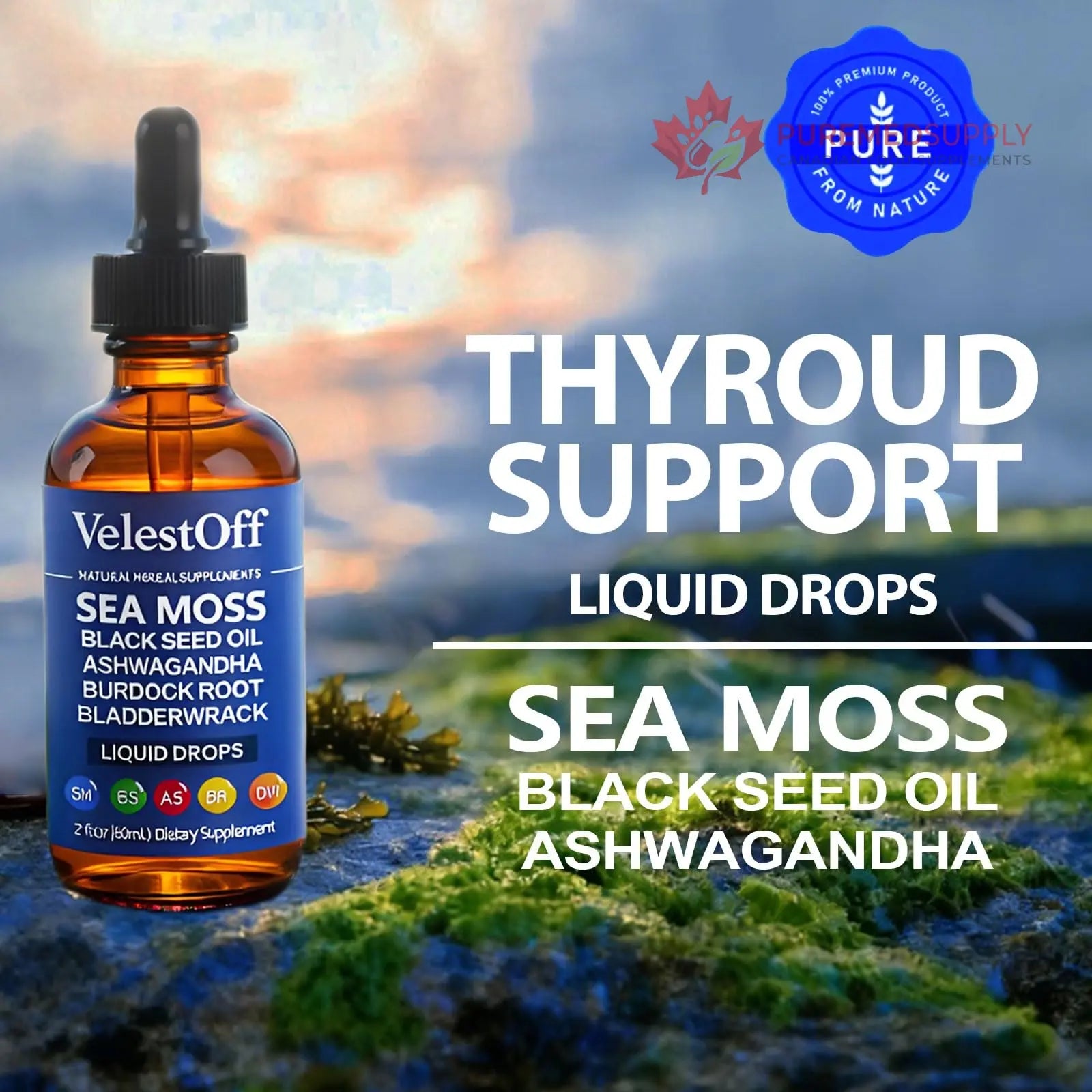 Velestoff Irish Seamoss Thyroid Hormone Regulator, Velestoff Thyroid Support Drops | Sea Moss, Black Seed Oil, Ashwagandha, Burdock Root, Bladderwrack, Hormone Balance & Support - 2 FL.OZ (1 Pcs) Velestoff buy supplements canada