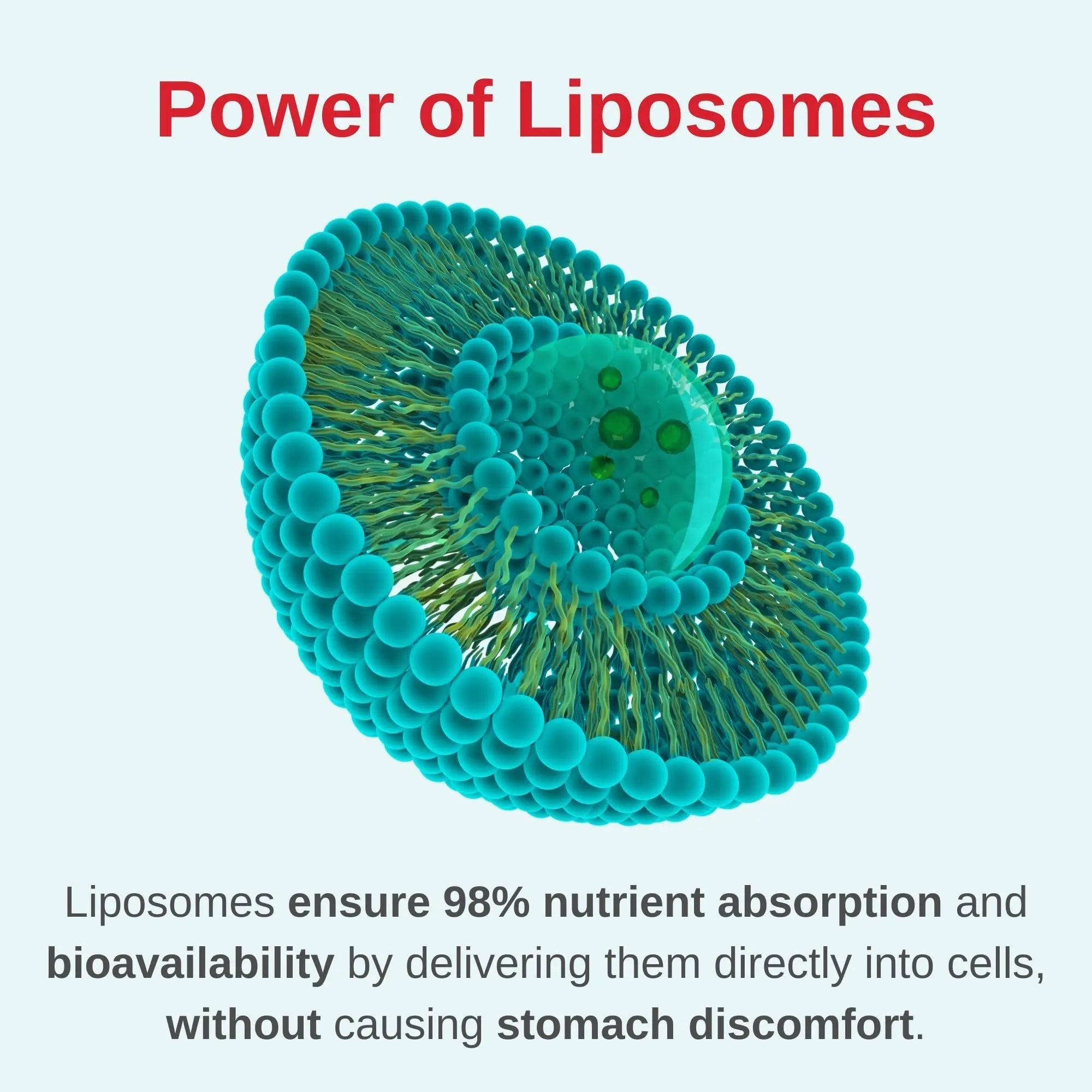Vitaminally Liposomal Women's Liquid multivitamin Iron Free Drops| Sugar Free | Non-GMO | Gluten Free | Supports Immune System, Bone Health and Energy Metabolism Vitaminally buy supplements canada