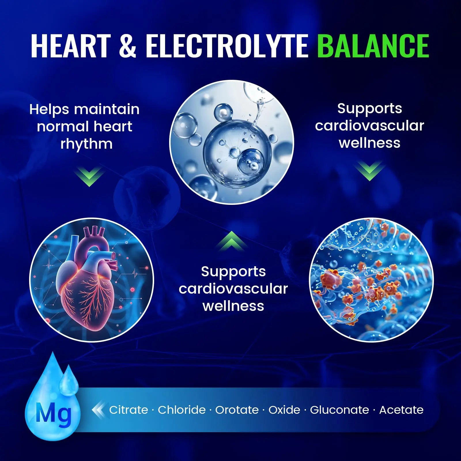 Magnesium Complex with 15 Types Magnesium Glycinate Citrate Malate Taurate Oxide Carbonate Chloride Orotate Magnesio Muscle, Heart, Relaxation & Nerves 120 Vegan Capsules, 60-Day Supply Ashenutri buy supplements canada