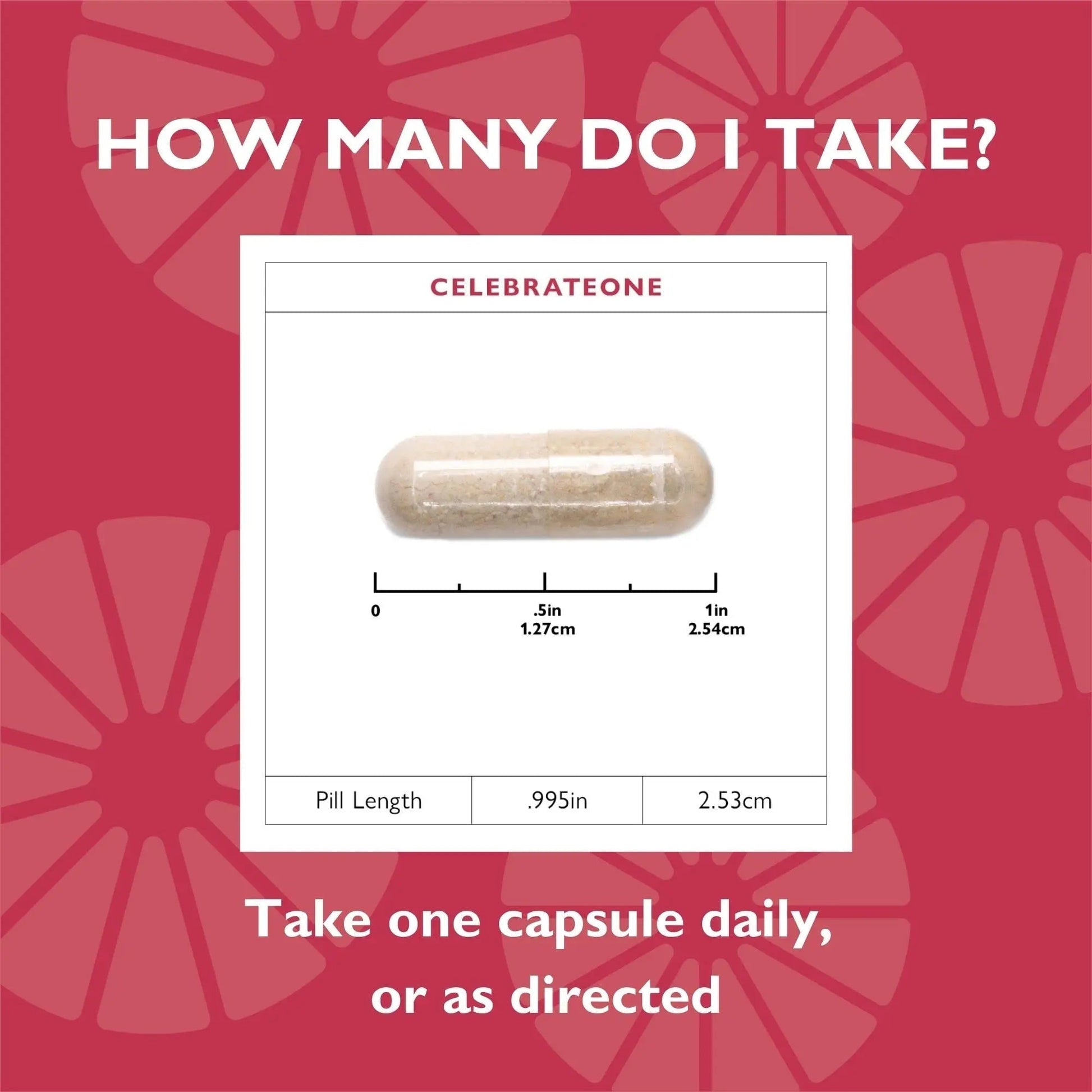 Celebrate Vitamins CelebrateONE, Iron Free - Once Daily Bariatric Multivitamin, Essential Vitamins & Minerals Celebrate Bariatric Supplements buy supplements canada