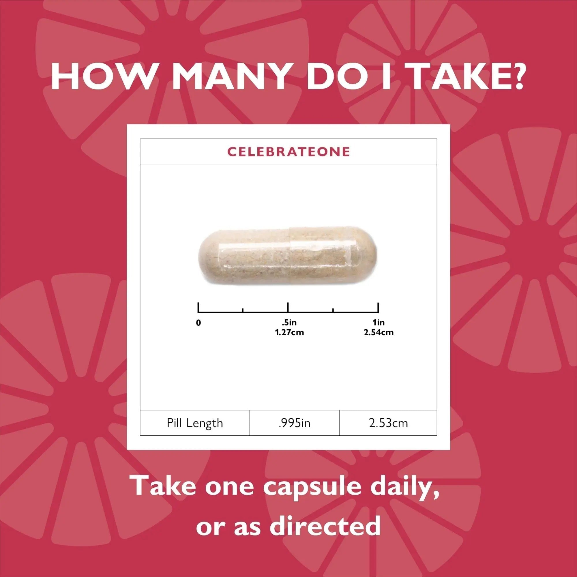 Celebrate Vitamins CelebrateONE, Iron Free - Once Daily Bariatric Multivitamin, Essential Vitamins & Minerals Celebrate Bariatric Supplements buy supplements canada