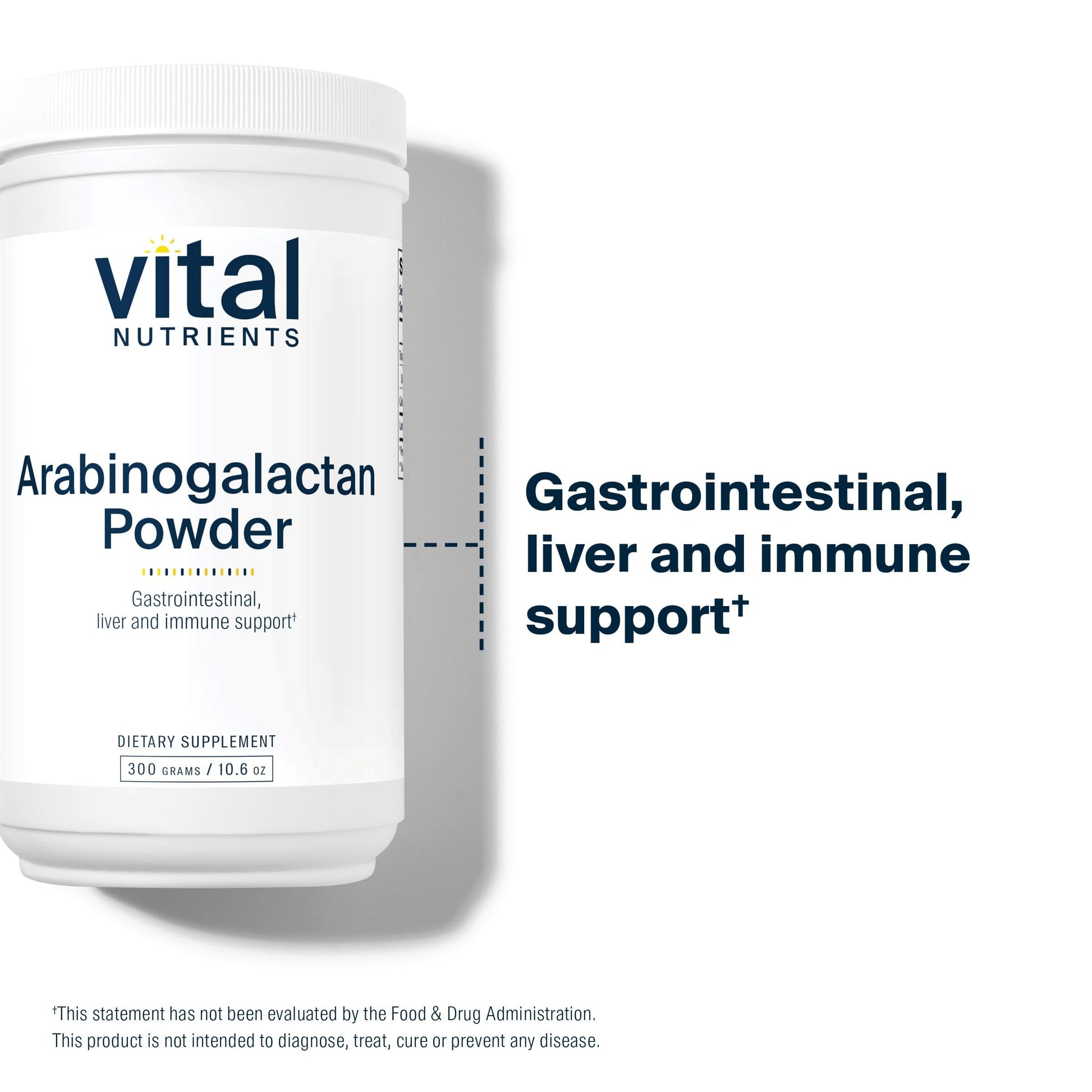 Vital Nutrients Arabinogalactan Powder - Vegan Prebiotic Fiber Supplement for GI Health, Liver, and Immune Support Vital Nutrients buy supplements canada