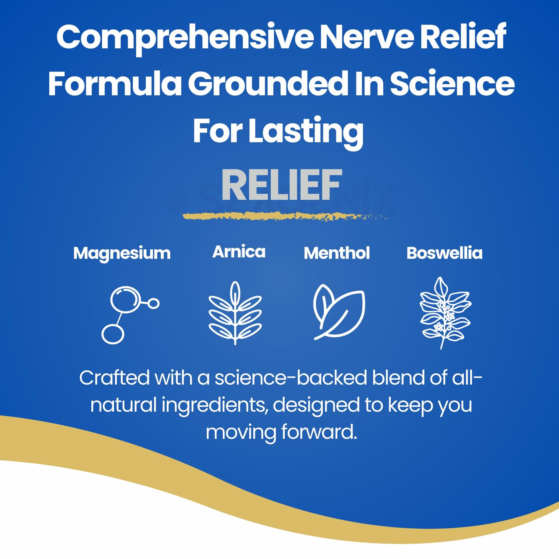 Seagenix Nerve Relief Muscle Foam - Nerve Spray Magnesium - Arnica - Boswellia - Menthol Formula - Nerve and Muscle Relief – Fast-Acting with Magnesium Sulfate - 150 ml - 1 Count Seagenix buy supplements canada