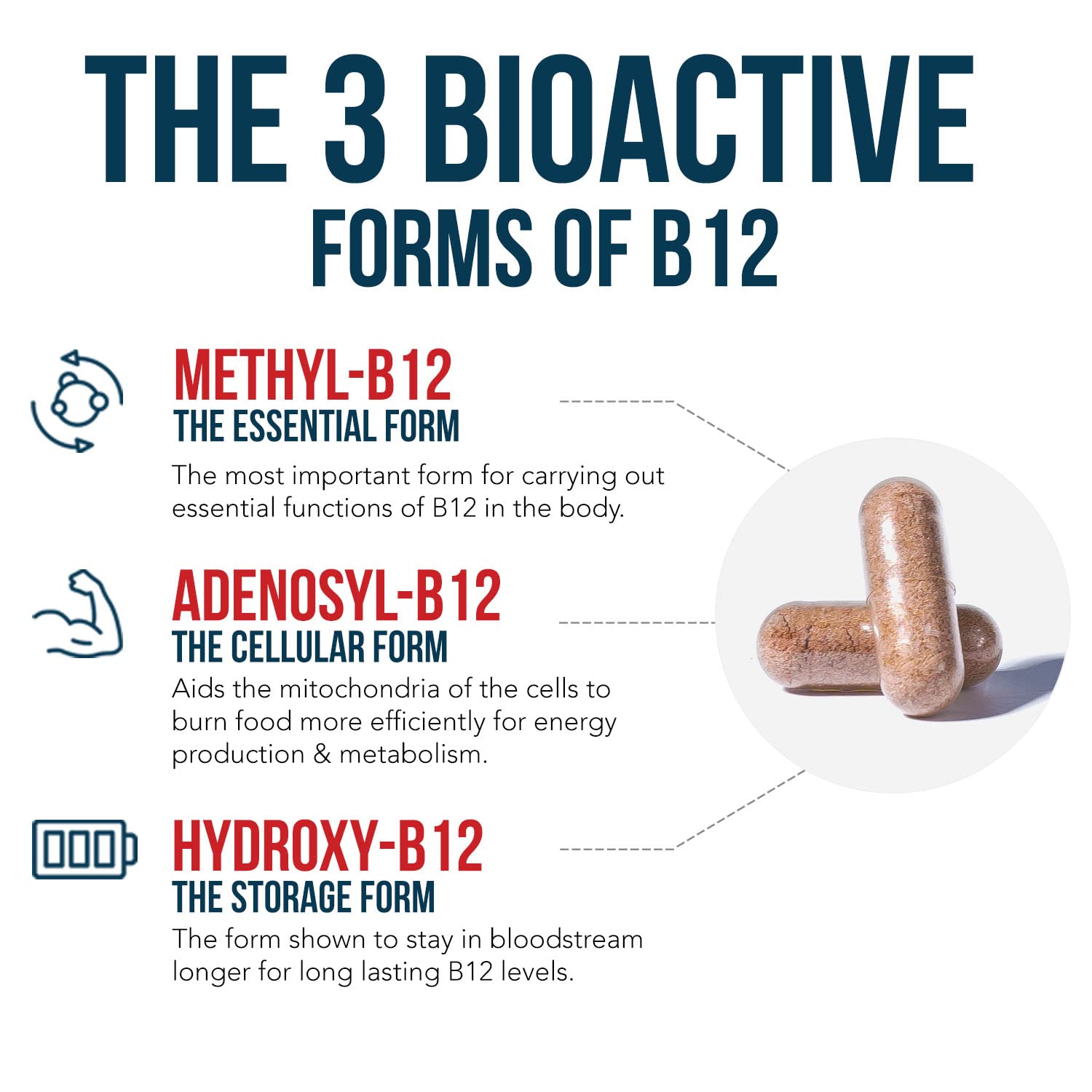 BioActive Vitamin B12 - 5000 mcg, Contains 3 BioActive Forms B12 Plus Methylfolate Cofactor - Methyl B12, Adenosyl B12 & Hydroxy B12 | Supports Energy Triquetra Health buy supplements canada