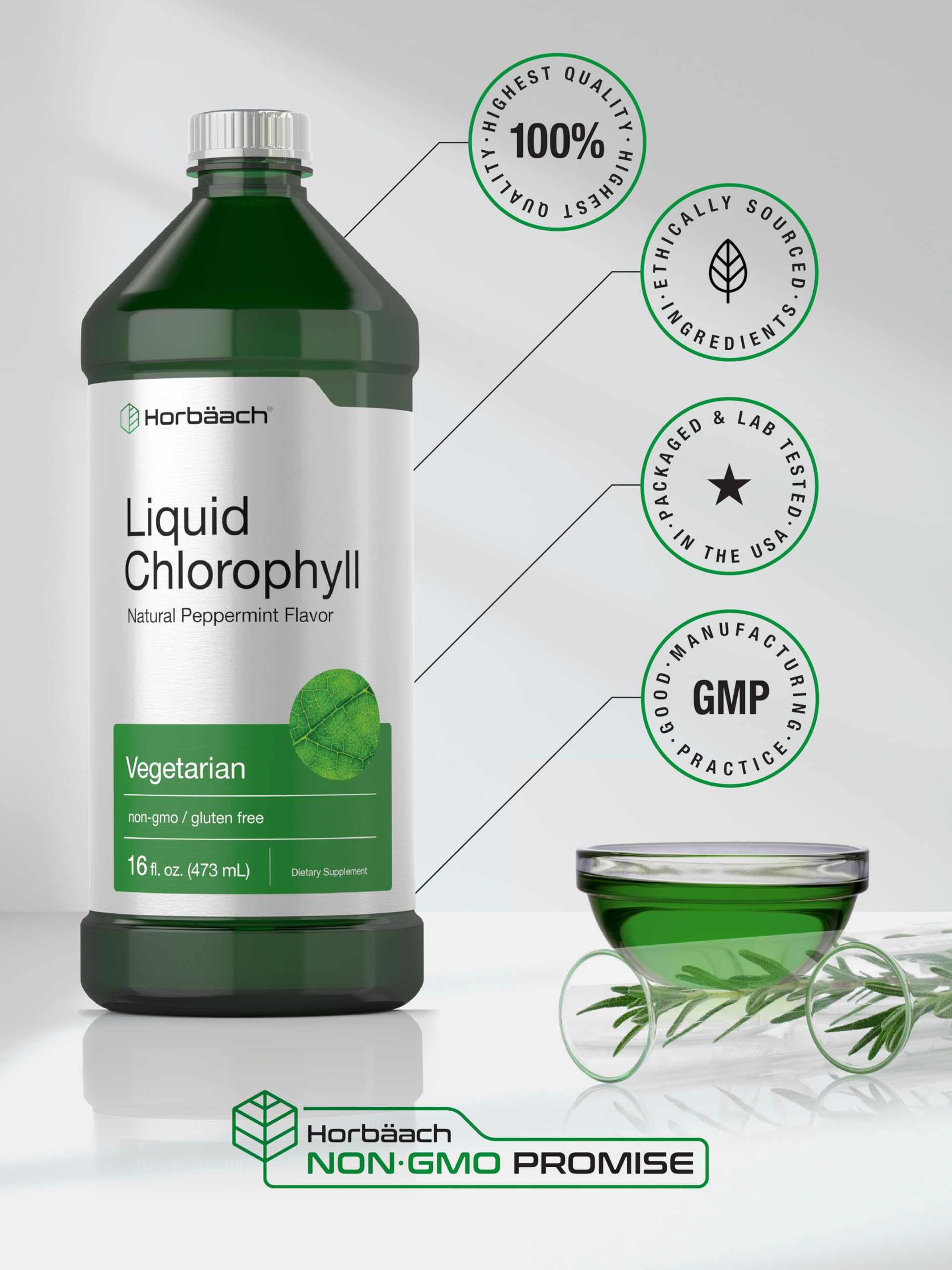 Chlorophyll Liquid Drops 100mg | 32 oz (2 x 16 oz Bottles) | Natural Peppermint Flavor Horbäach buy supplements canada