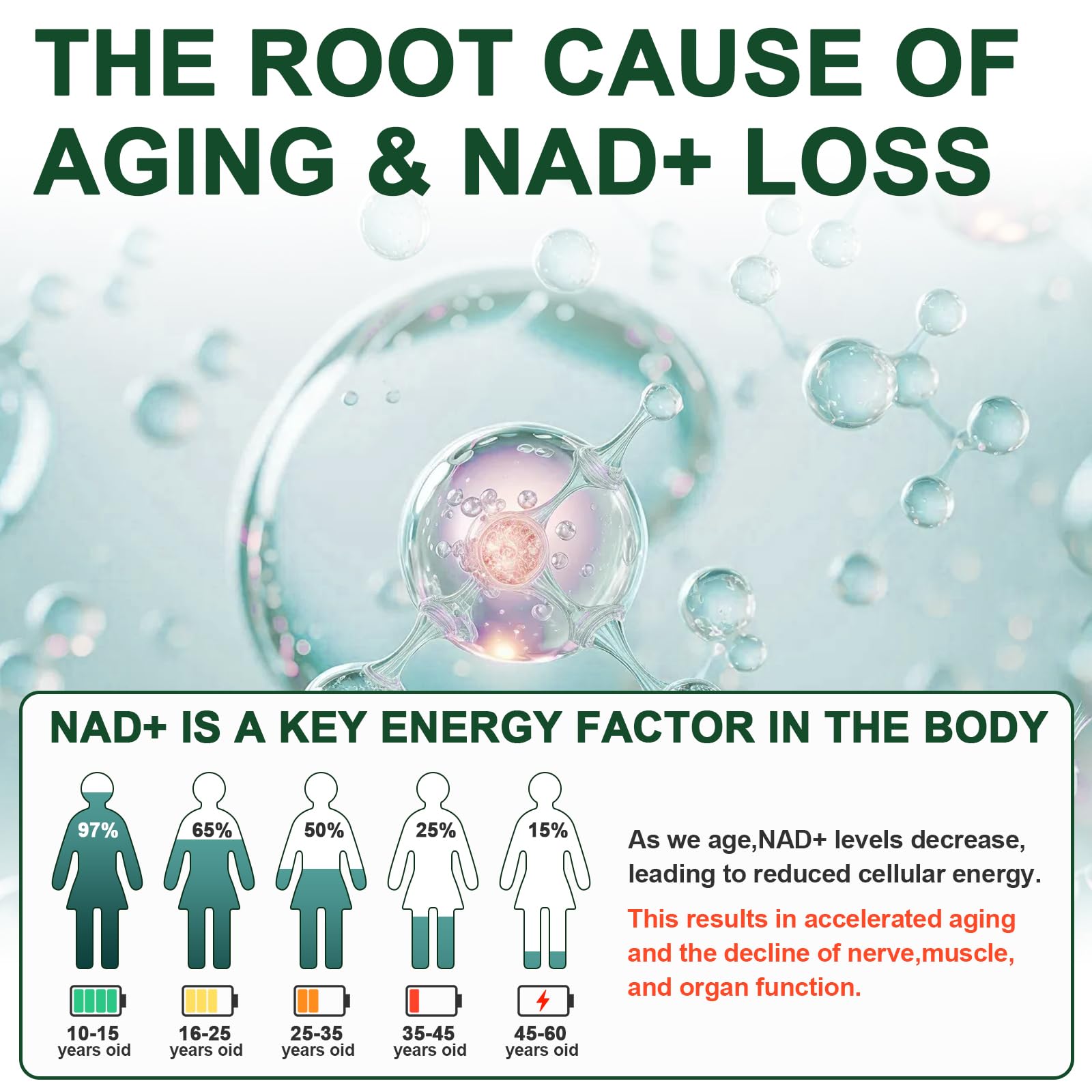 Vikaywoo NAD Supplement 1585 Mg -True NAD & Resveratrol, NMN Alternative Liposomal NAD+ for Women & Men, Support Cellular Health, Stamina & Healthy Aging - 120 Capsules Vikaywoo buy supplements canada