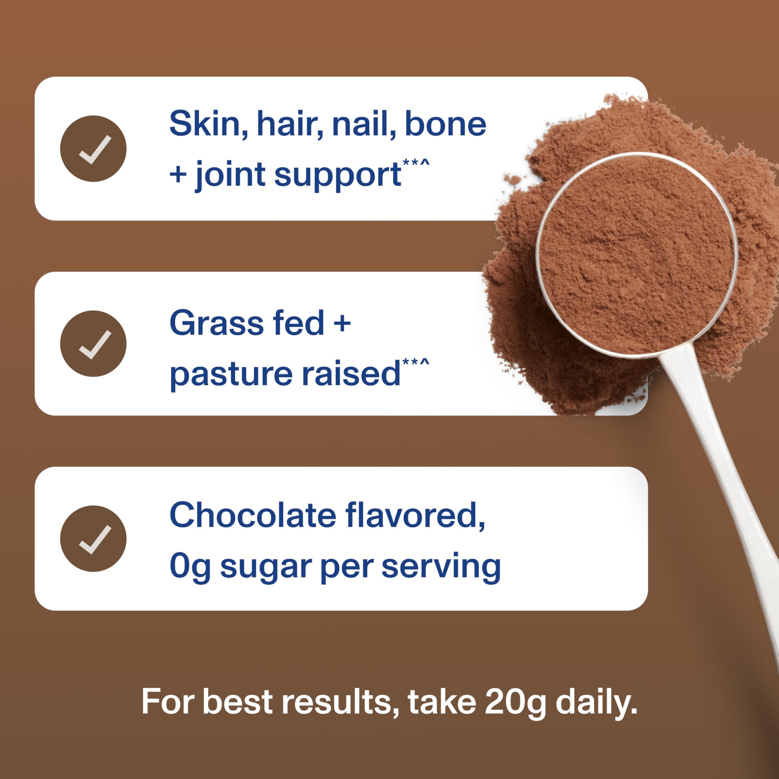 Vital Proteins Collagen Peptides Powder - Chocolate Powder for Hair, Nail, Skin, Bone & Joint Health, 13.5oz Vital Proteins buy supplements canada