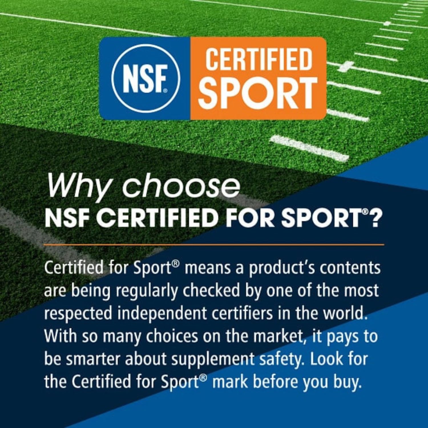 MASF Smashin' Reds Organic Superfood Supplements - 15 Servings - NSF Sport, Super Reds for Digestive Health, Energy, Endurance, Beet Root, Maca, Turmeric, Ginger, Acai, Nitric Oxide Production MASF buy supplements canada