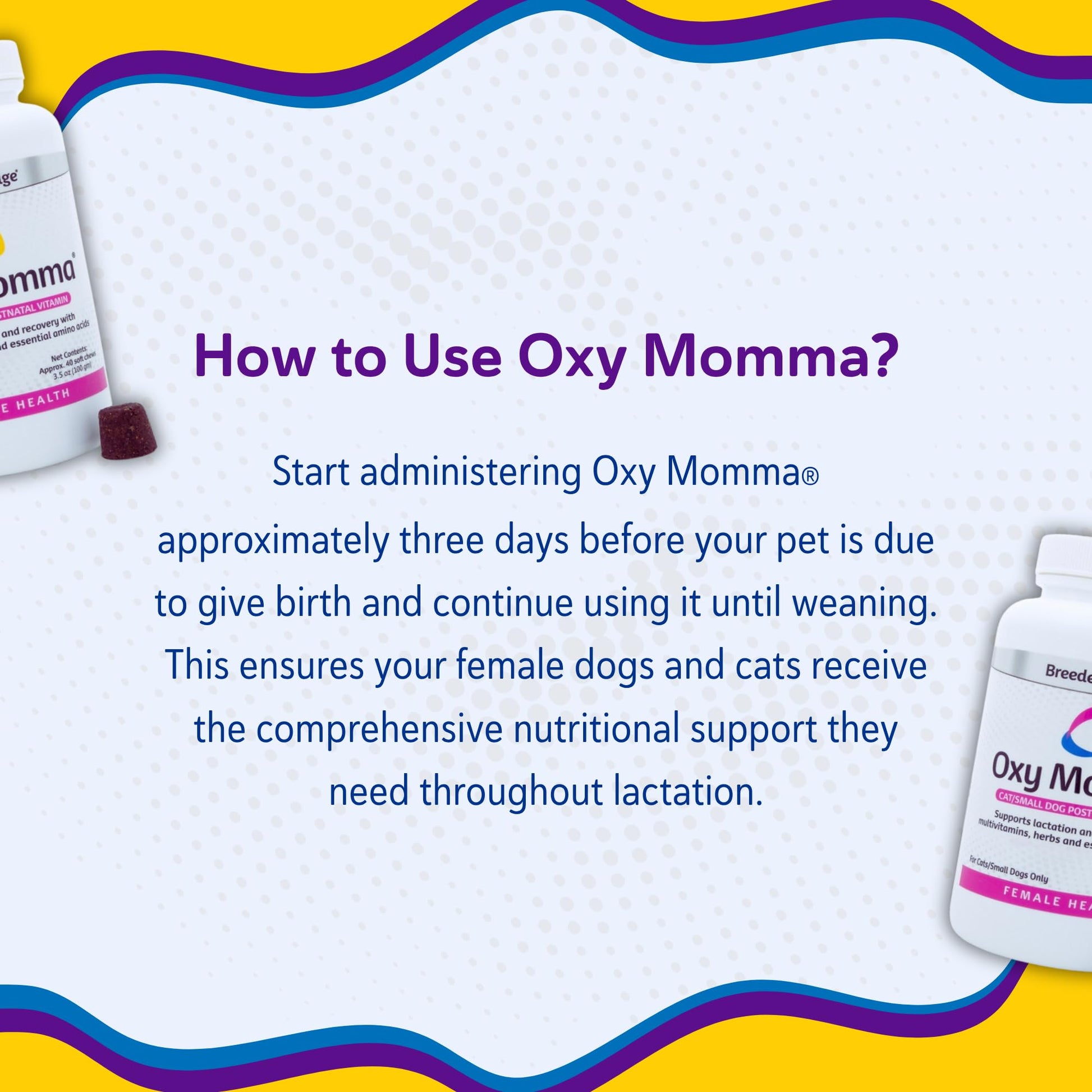 Breeder's Edge Oxy Momma Soft Chews, Postnatal Vitamin Supplement for Lactating Dogs and Cats, Supports Recovery, Hormones, and Next Pregnancy - for Small Dogs & Cats, 40ct Soft Chews Revival Animal Health buy supplements canada