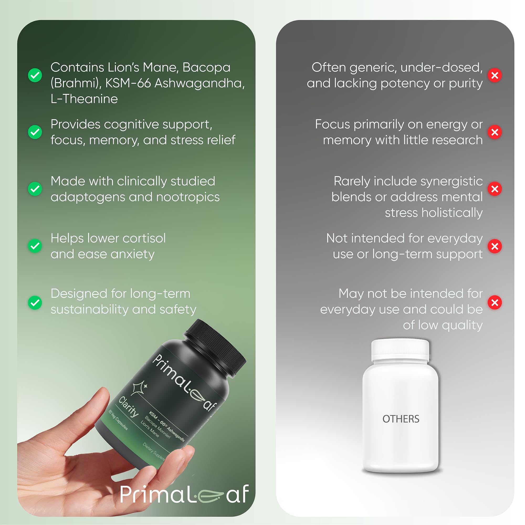 PrimaLeaf Clarity Nootropics Brain Supplement for Focus, Memory, & Stress Relief | Natural Nootropic with KSM66 Ashwagandha, Lions Mane, Bacopa, L Theanine | Cognitive & Mood Support | 60 Veg Capsules PrimaLeaf buy supplements canada