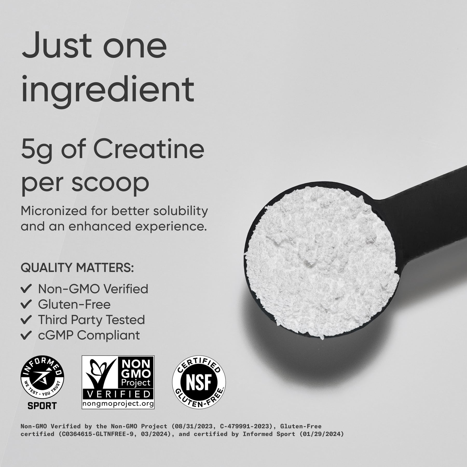 Sports Research Creatine Monohydrate - Gain Lean Muscle, Improve Performance and Strength and Support Workout Recovery - 5 g Micronized Creatine - 10.58 oz Sports Research buy supplements canada