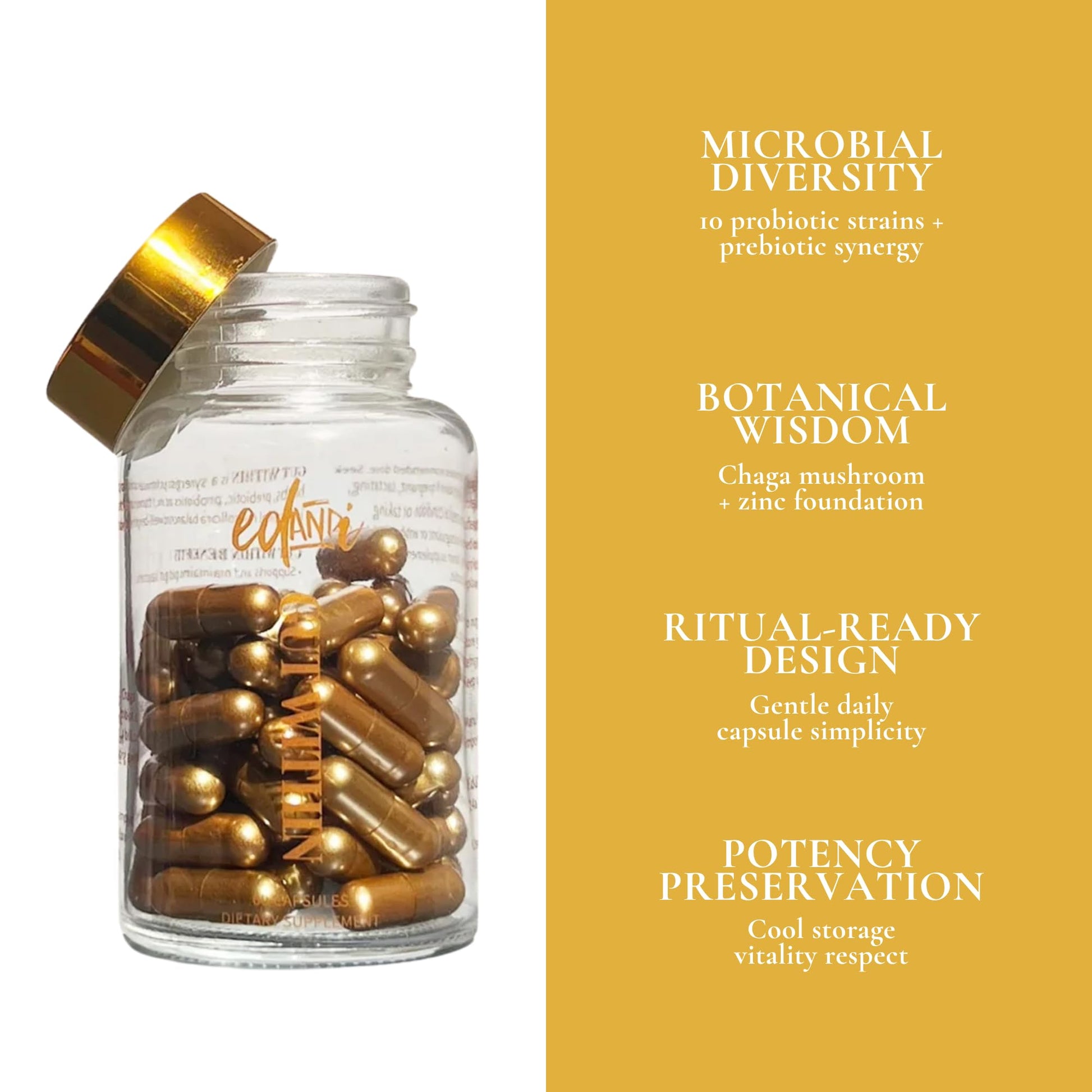 ed&i Gut Within Prebiotic & Probiotic Supplement - Digestive Probiotics for Women, Probiotics for Women Bloating, Digestive Support, Women’s Gut Health edandi buy supplements canada