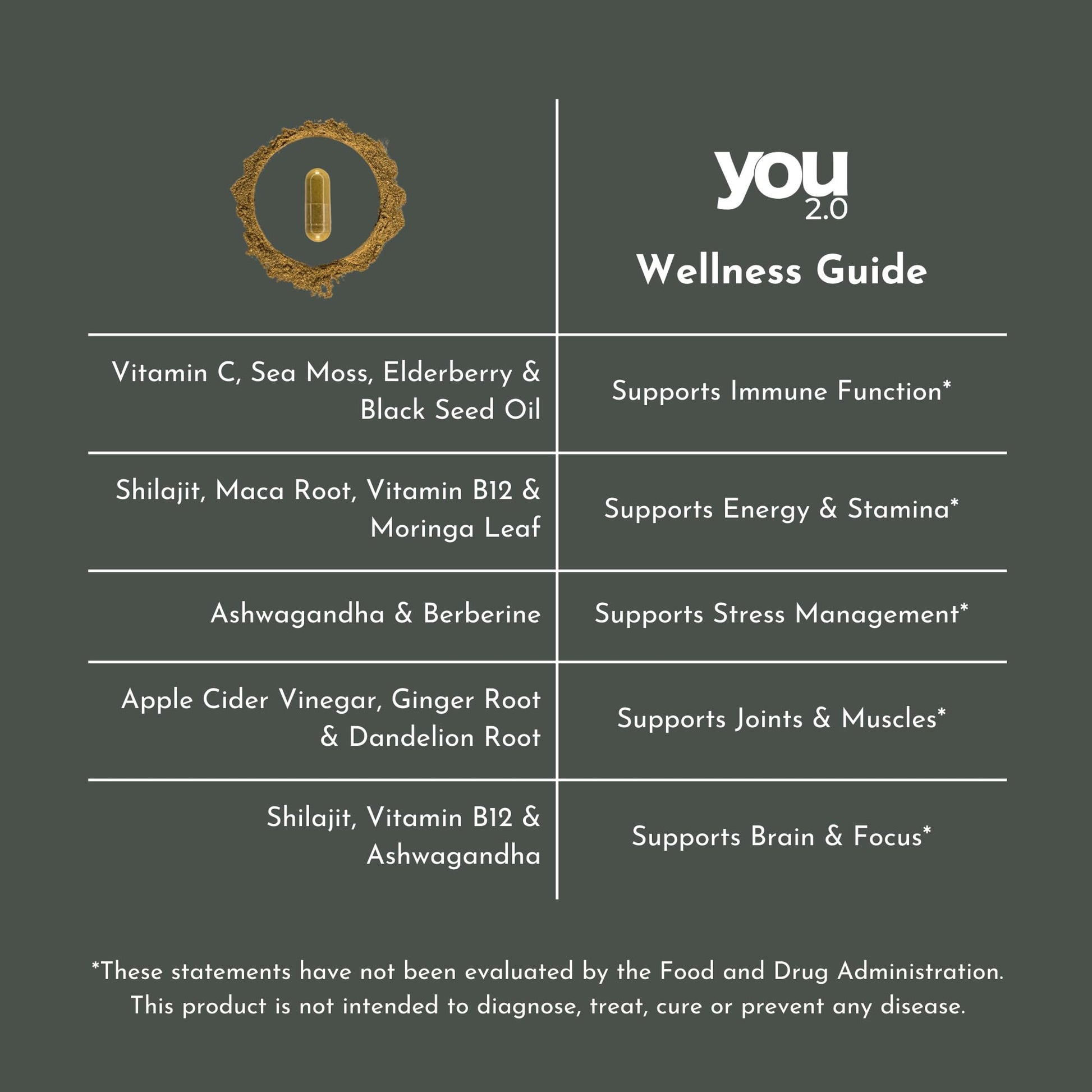 YOU 2.0 Powerhouse Superfood with Seamoss, Shilajit, Ashwagandha, Berberine, Maca, Black Seed Oil, Turmeric, Vitamin C, D, B12, K2 - Moringa, Apple Cider, Made in USA for Overall Health & Immunity YOU 2.0 buy supplements canada