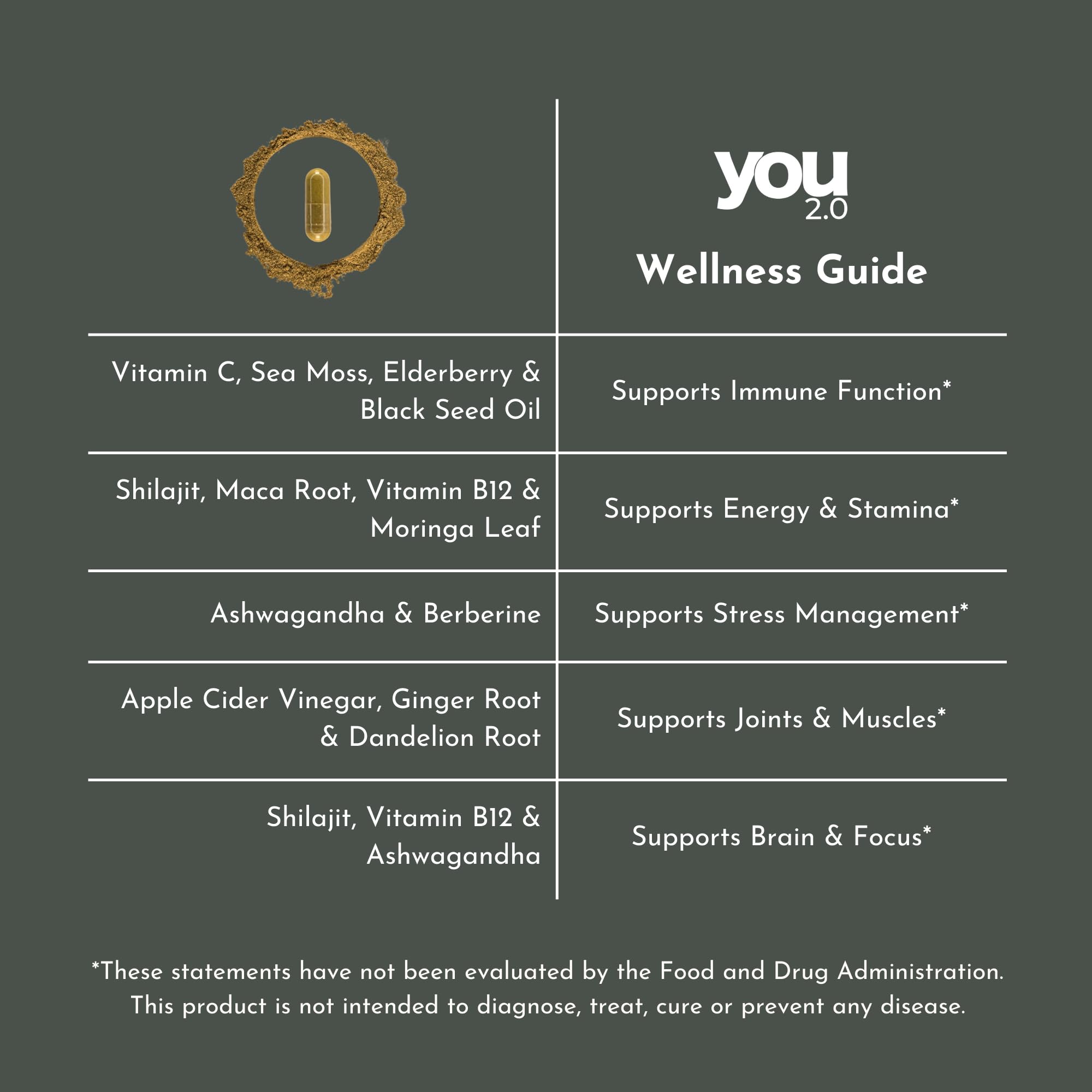 YOU 2.0 Powerhouse Superfood with Seamoss, Shilajit, Ashwagandha, Berberine, Maca, Black Seed Oil, Turmeric, Vitamin C, D, B12, K2 - Moringa, Apple Cider, Made in USA for Overall Health & Immunity YOU 2.0 buy supplements canada