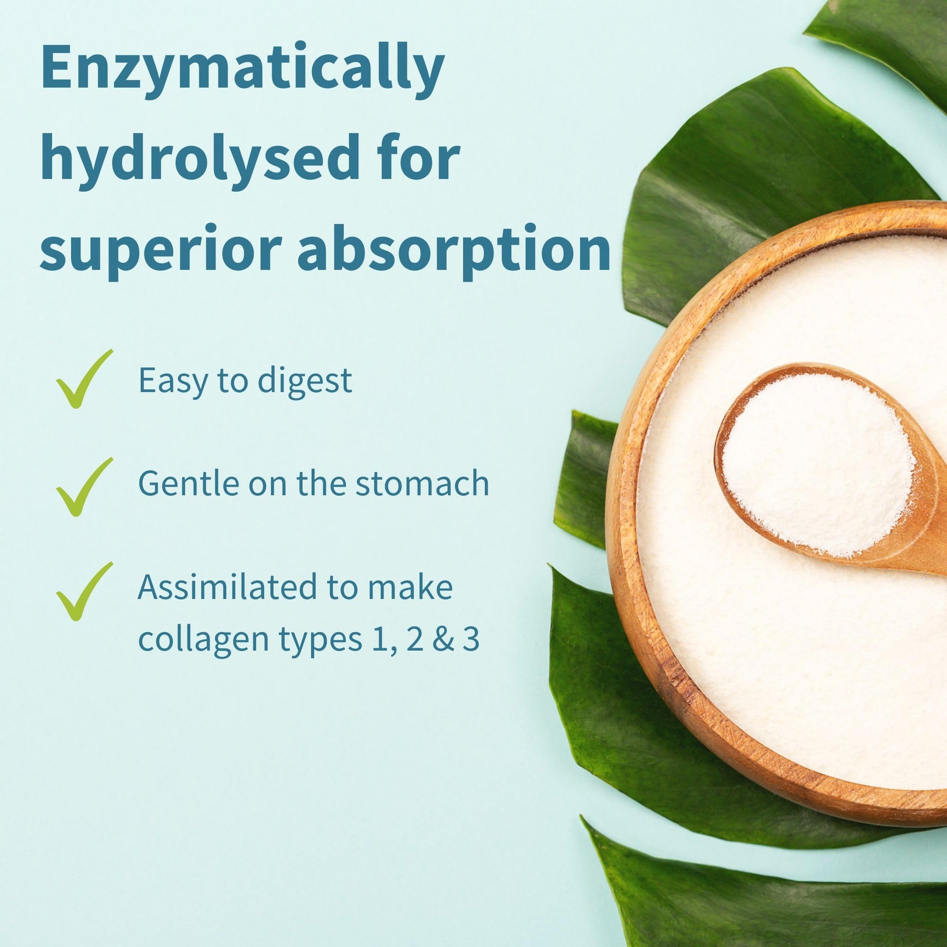 Advanced Hydrolysed Collagen Peptides, 100% Grass Fed & Ethically Sourced Igennus Healthcare Nutrition buy supplements canada